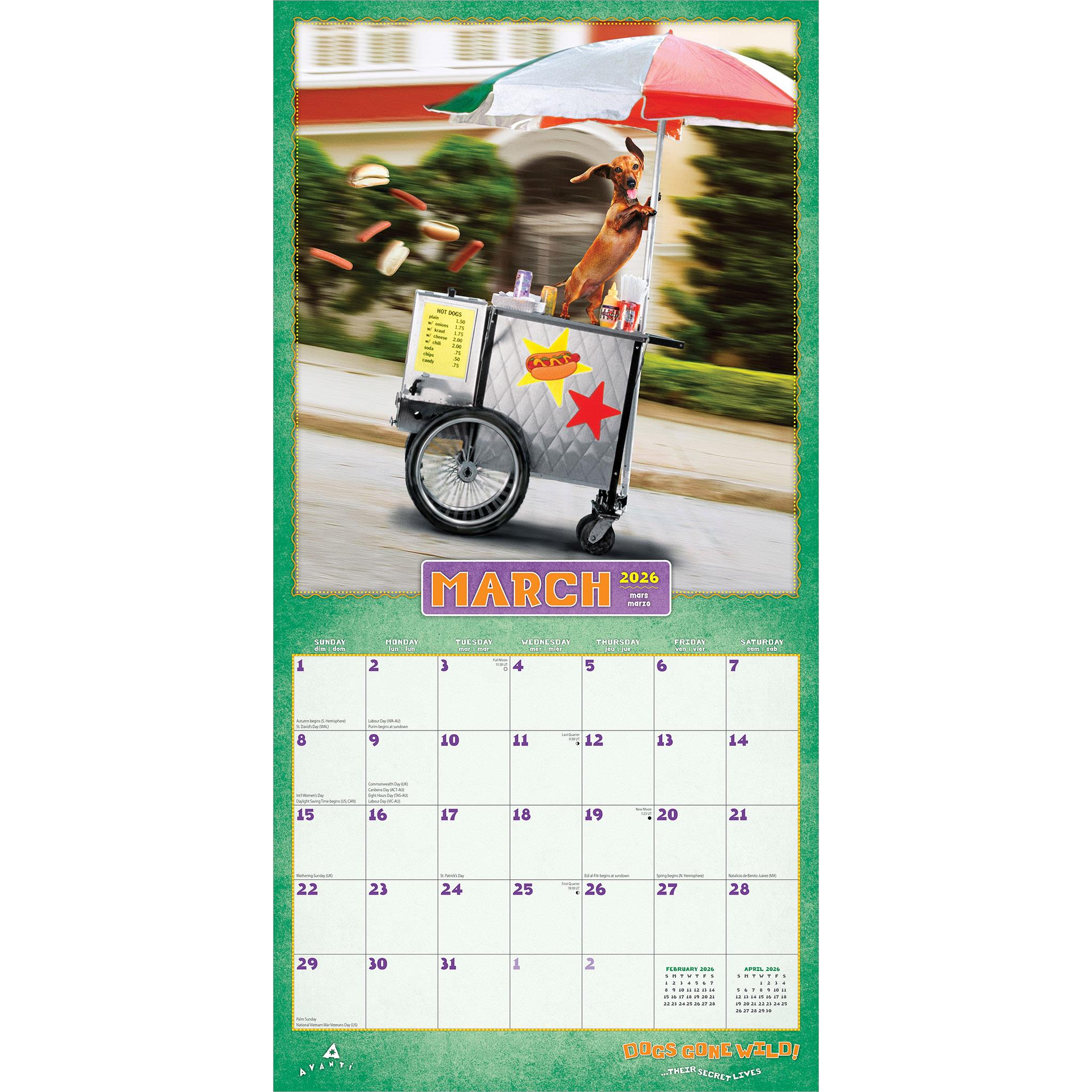 Dogs Gone Wild Avanti 2026 Wall Calendar