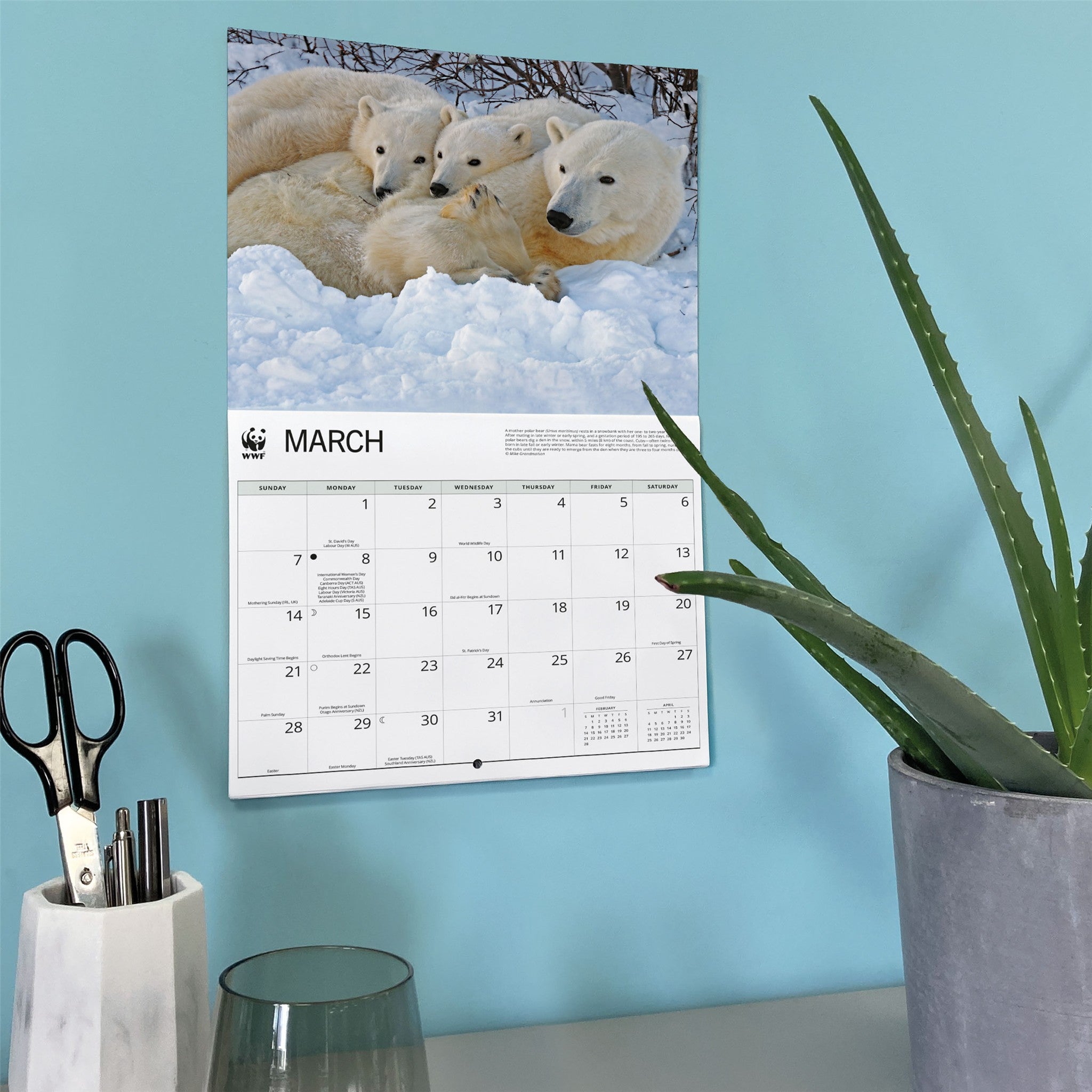 Calendrier mural Ours polaires 2027 du Fonds mondial pour la nature