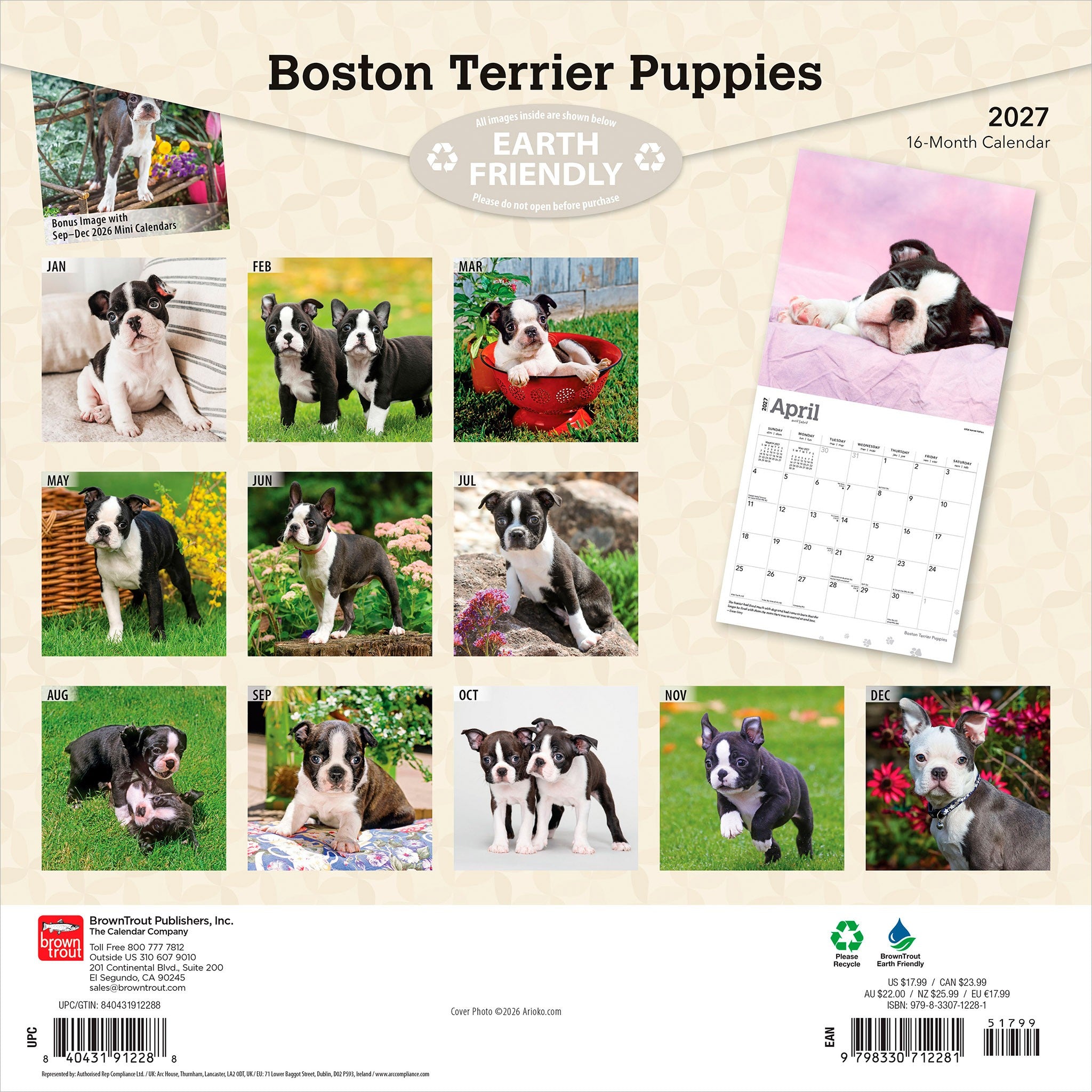 Boston Terrier Puppies 2027 Wall Calendar - Online Only