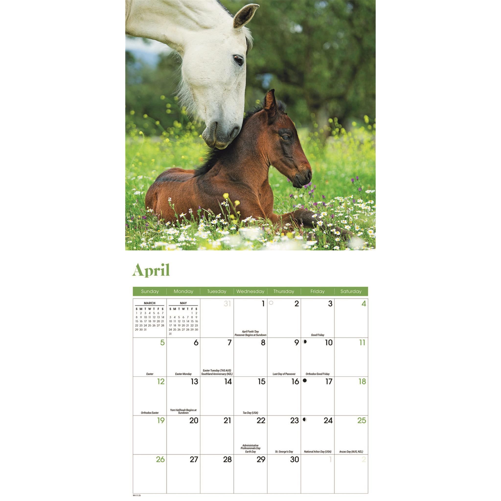 Mini-calendrier des chevaux 2026