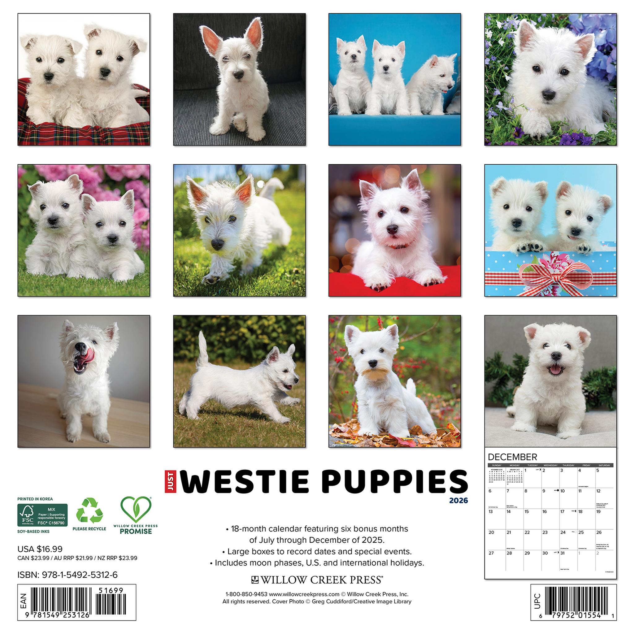Calendrier mural 2026 Chiots Westie - Disponible uniquement en ligne