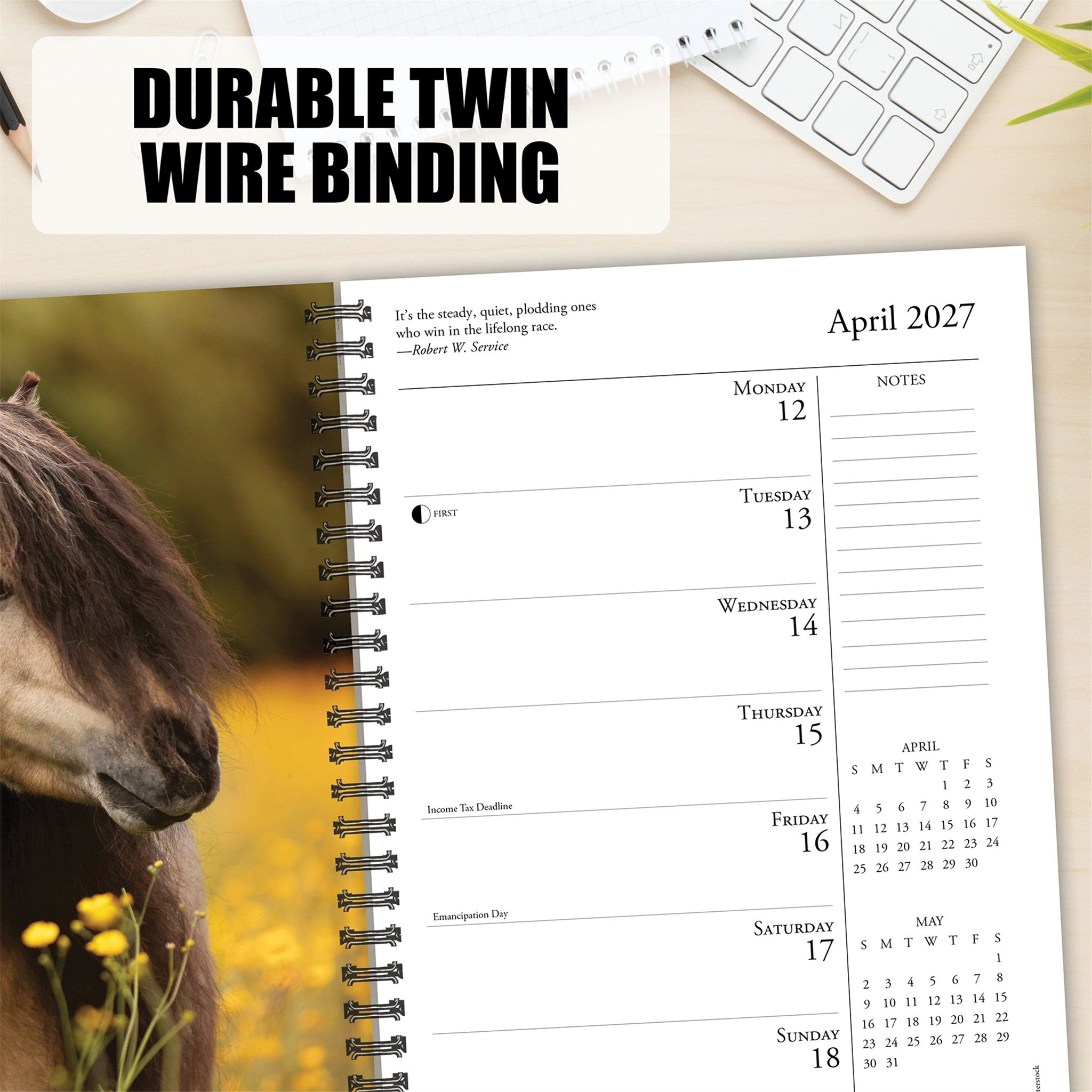 What Horses Teach Us 2027 Engagement Calendar