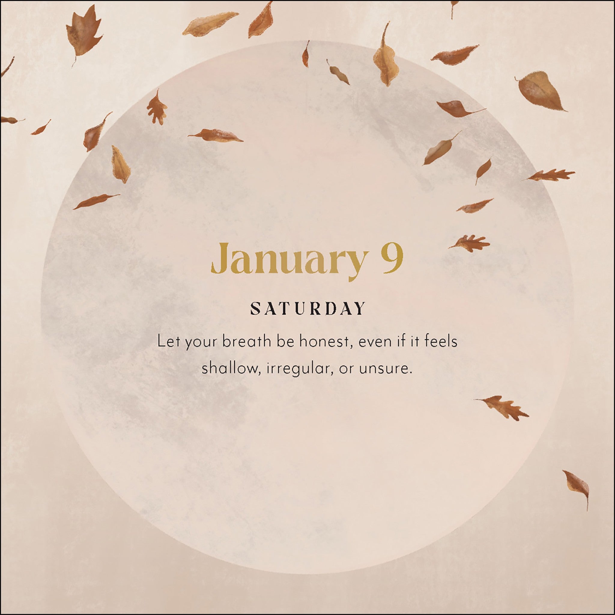 Calendrier Boîte Yoga Magique 2027