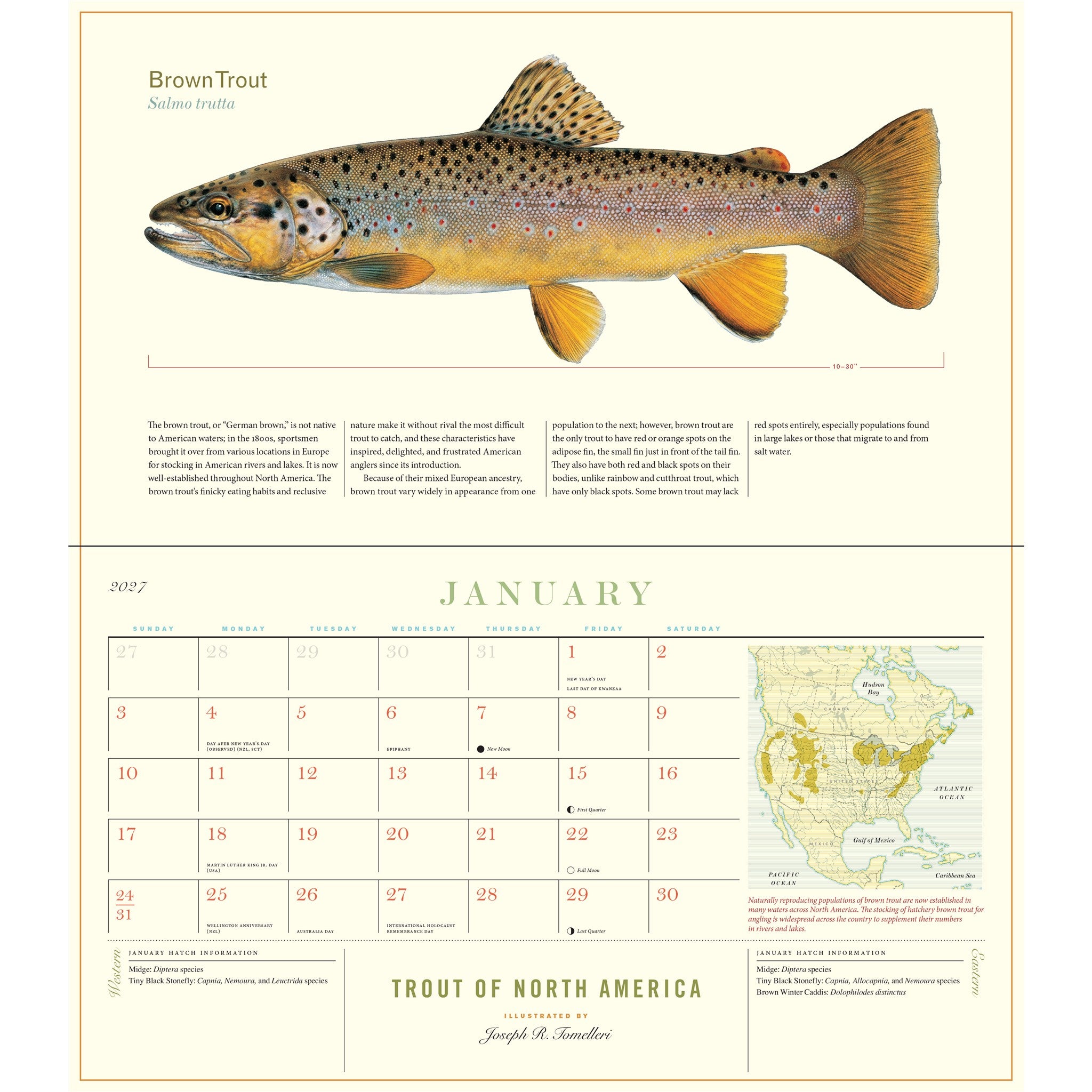 Calendrier mural 2027 : Truites d'Amérique du Nord
