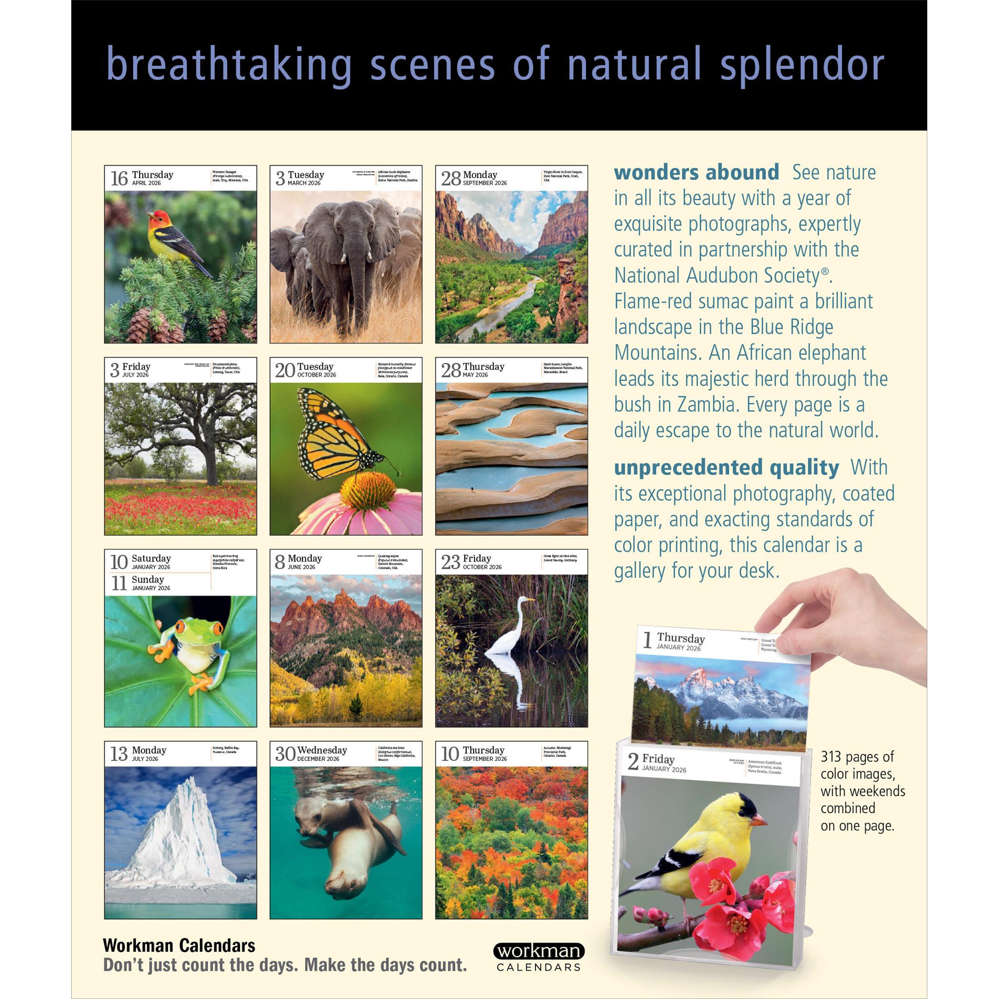 Calendrier en boîte 2026 de la galerie de la nature Audubon