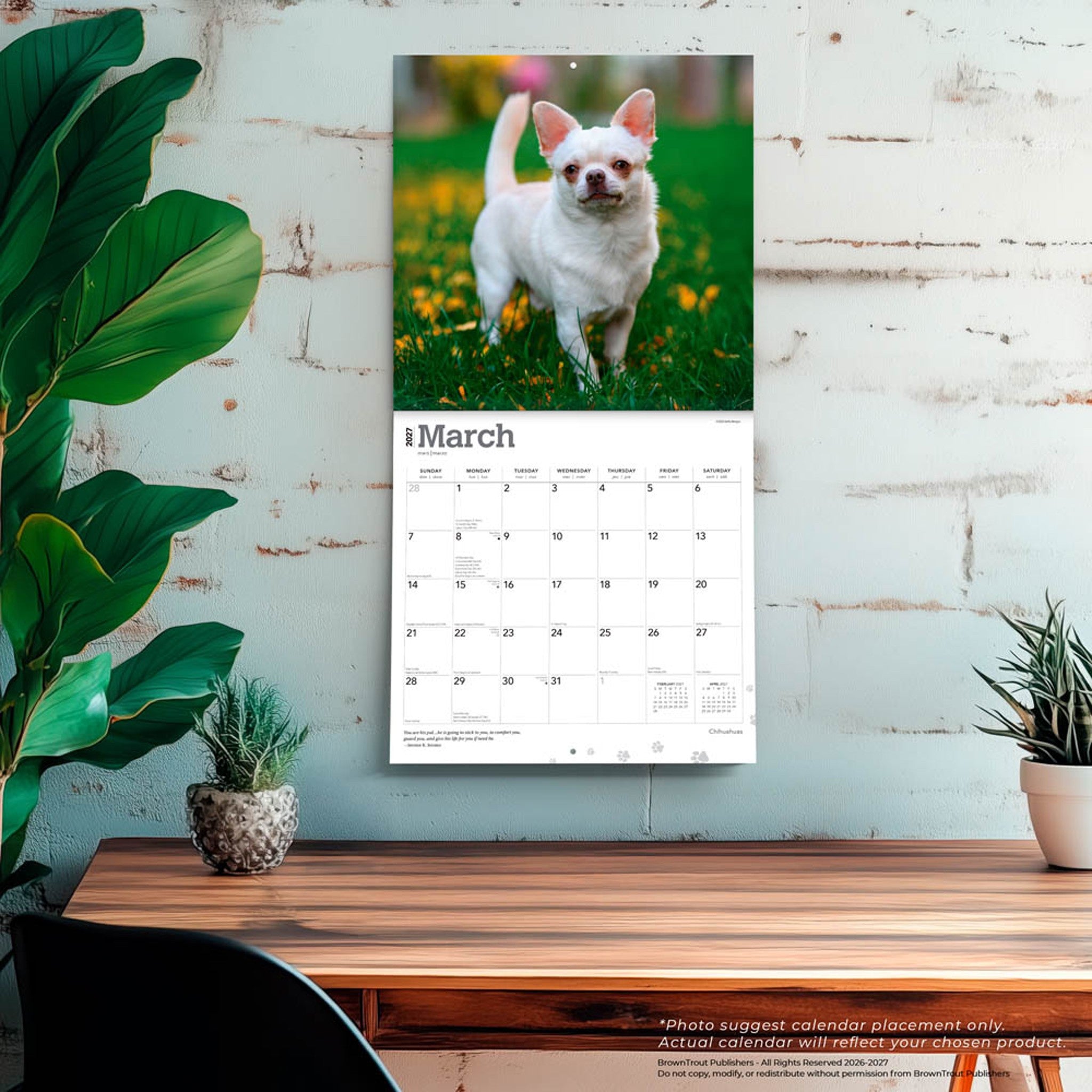 Chihuahuas 2027 Wall Calendar