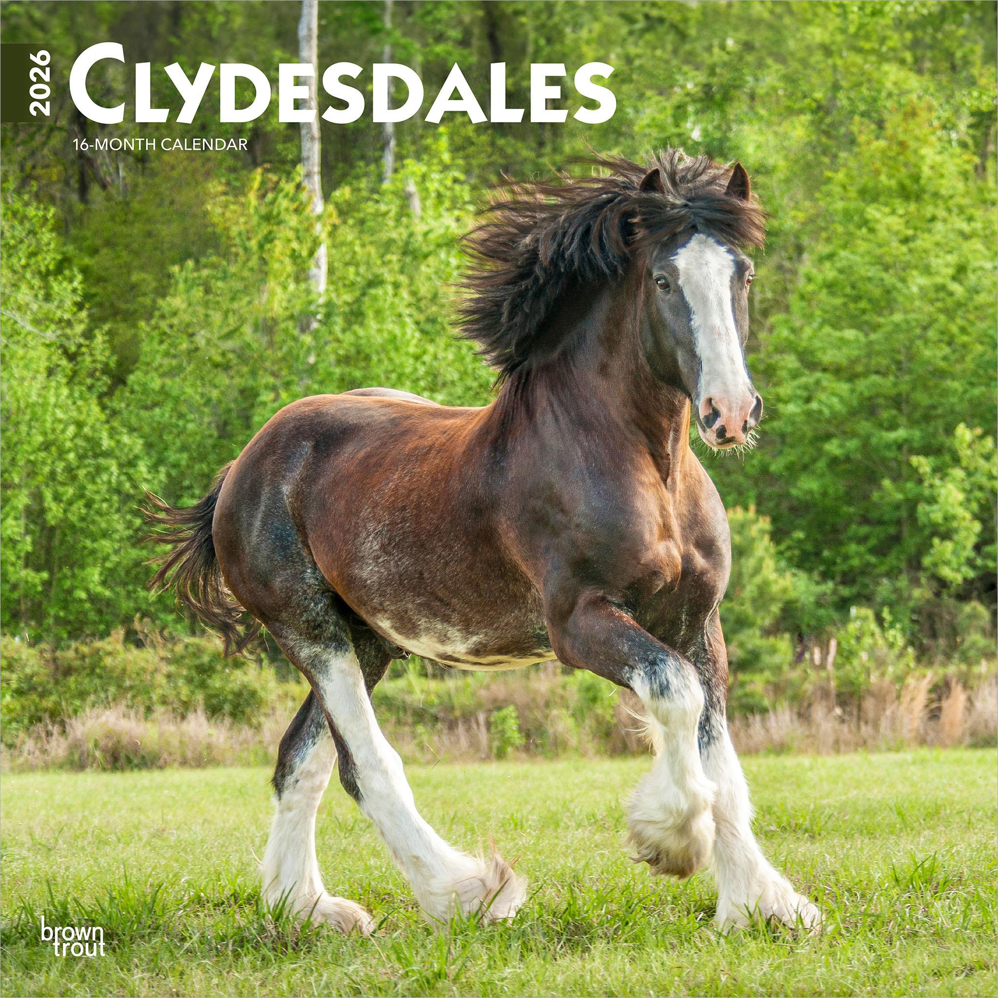 Calendrier mural Clydesdales 2026 - Disponible uniquement en ligne