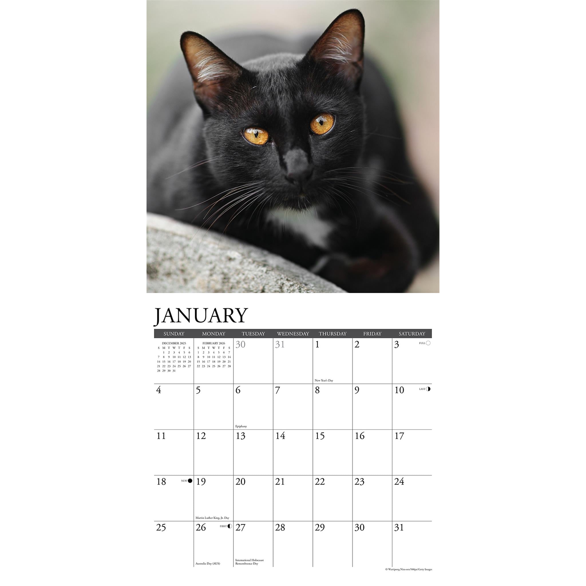Calendrier mural Just Black Cats 2026