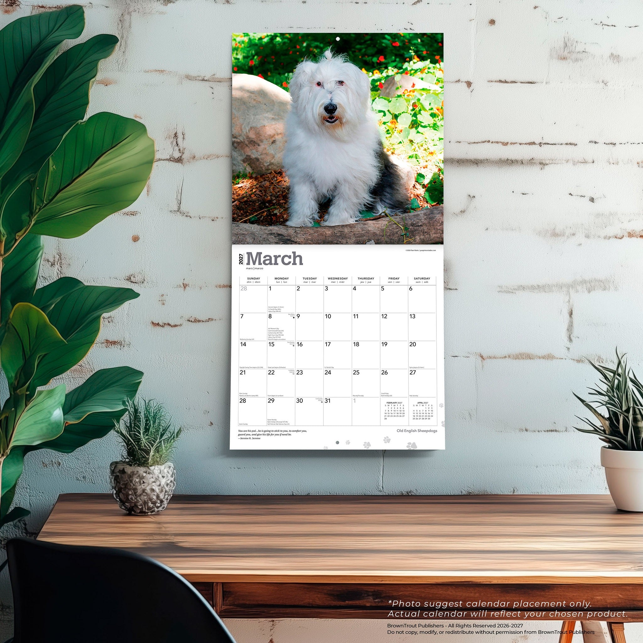 Old English Sheepdogs 2027 Wall Calendar