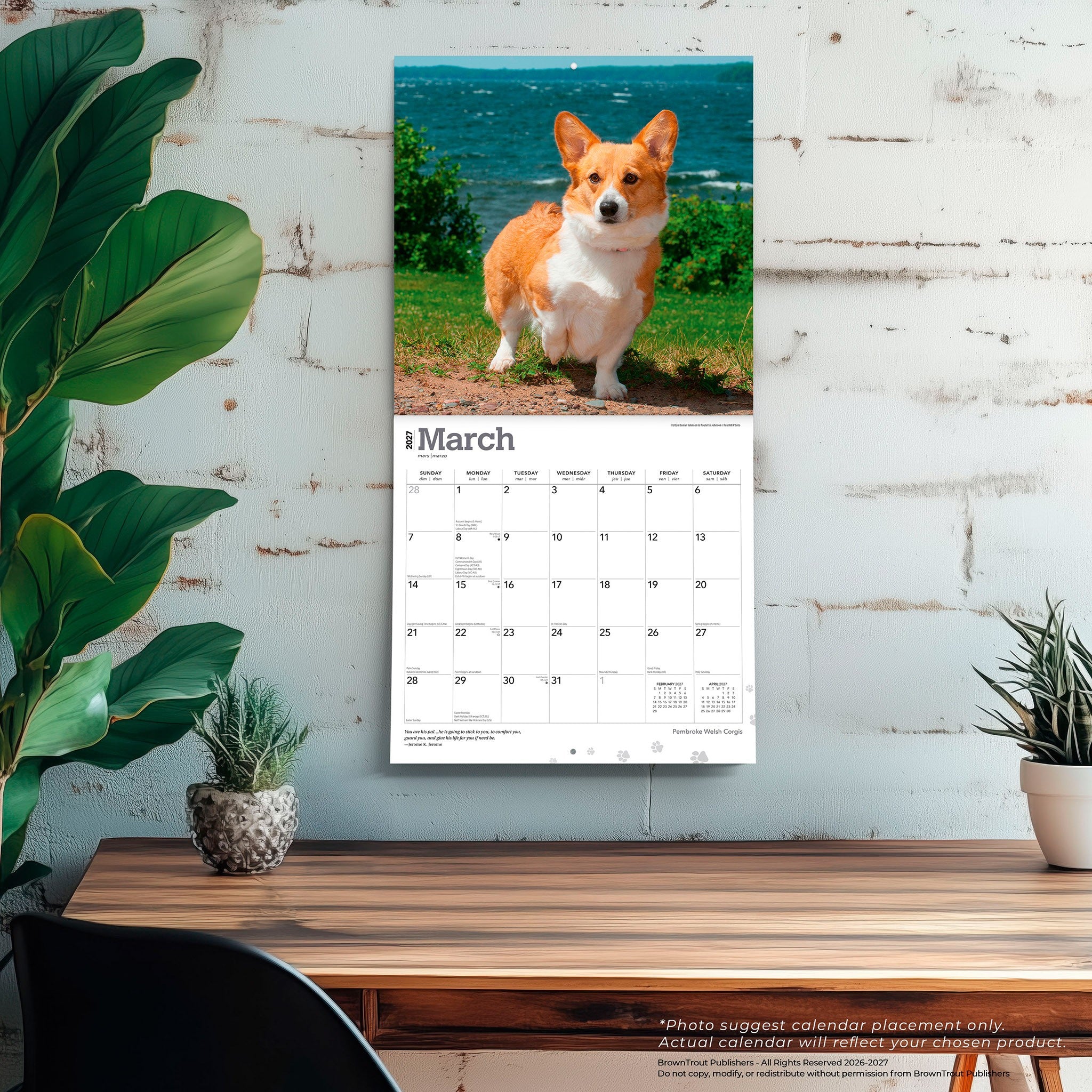Pembroke Welsh Corgis 2027 Wall Calendar - Online Only