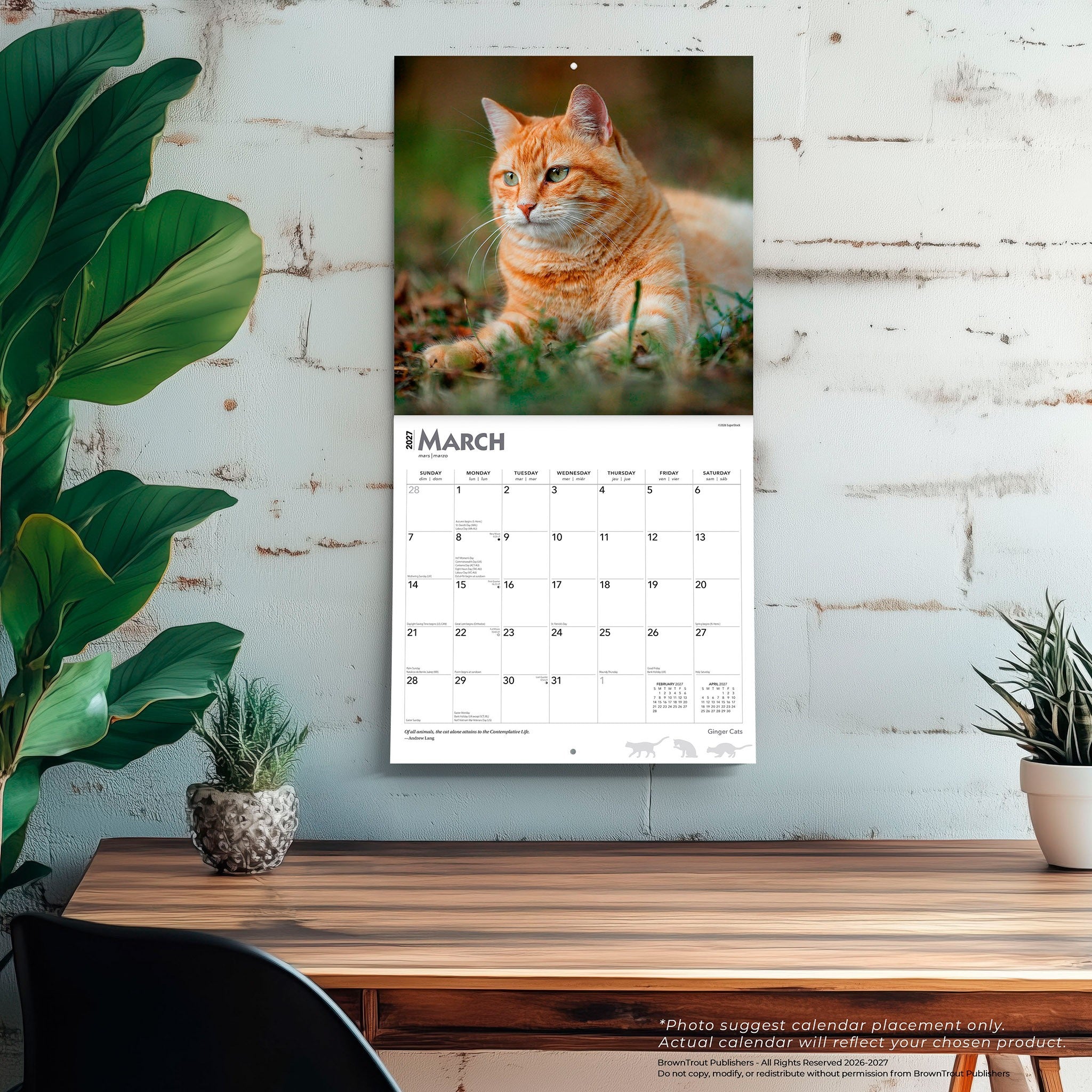 Ginger Cats 2027 Wall Calendar