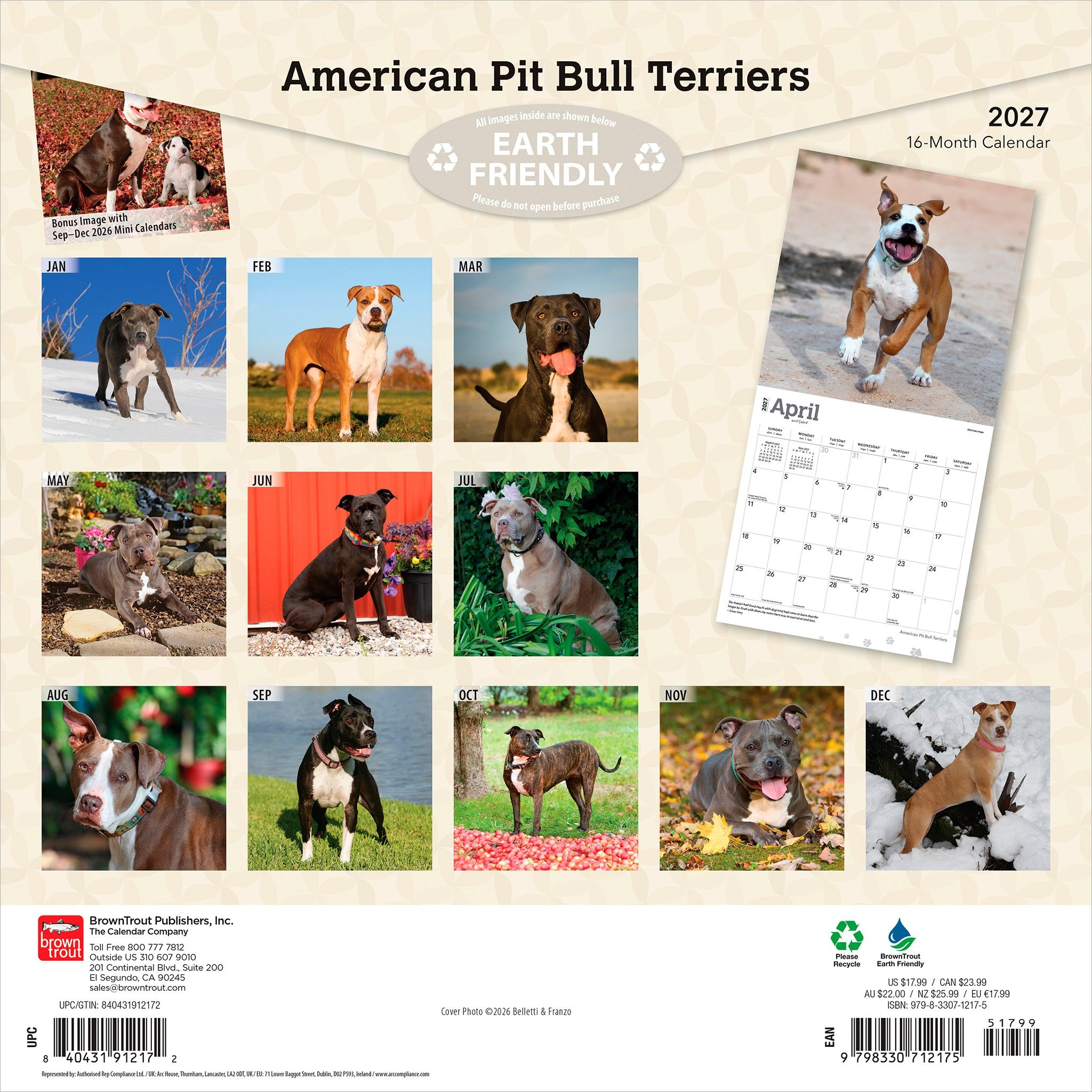 American Pit Bull Terriers 2027 Wall Calendar