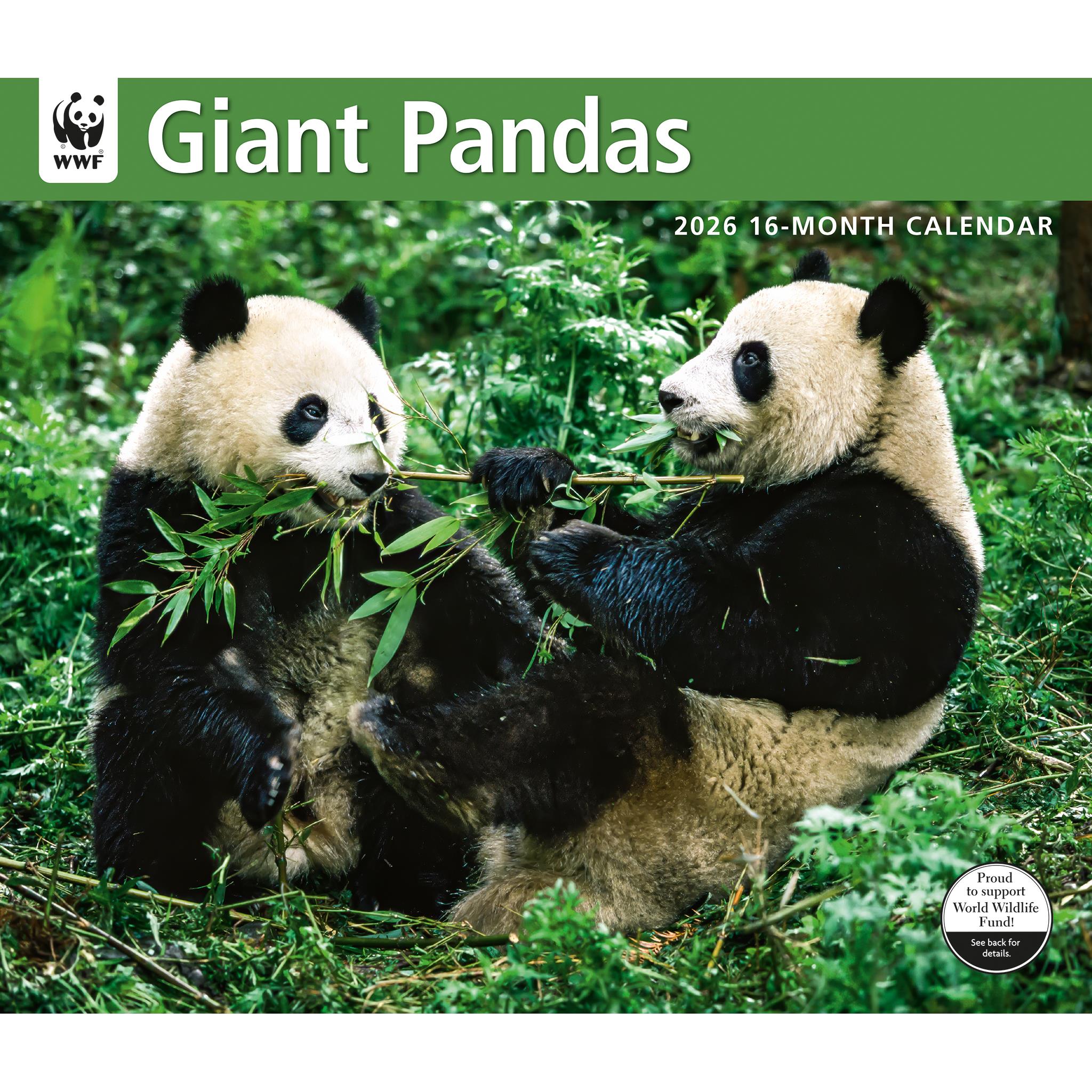 Calendrier mural 2026 du Fonds mondial pour la nature (WWF) sur les pandas géants