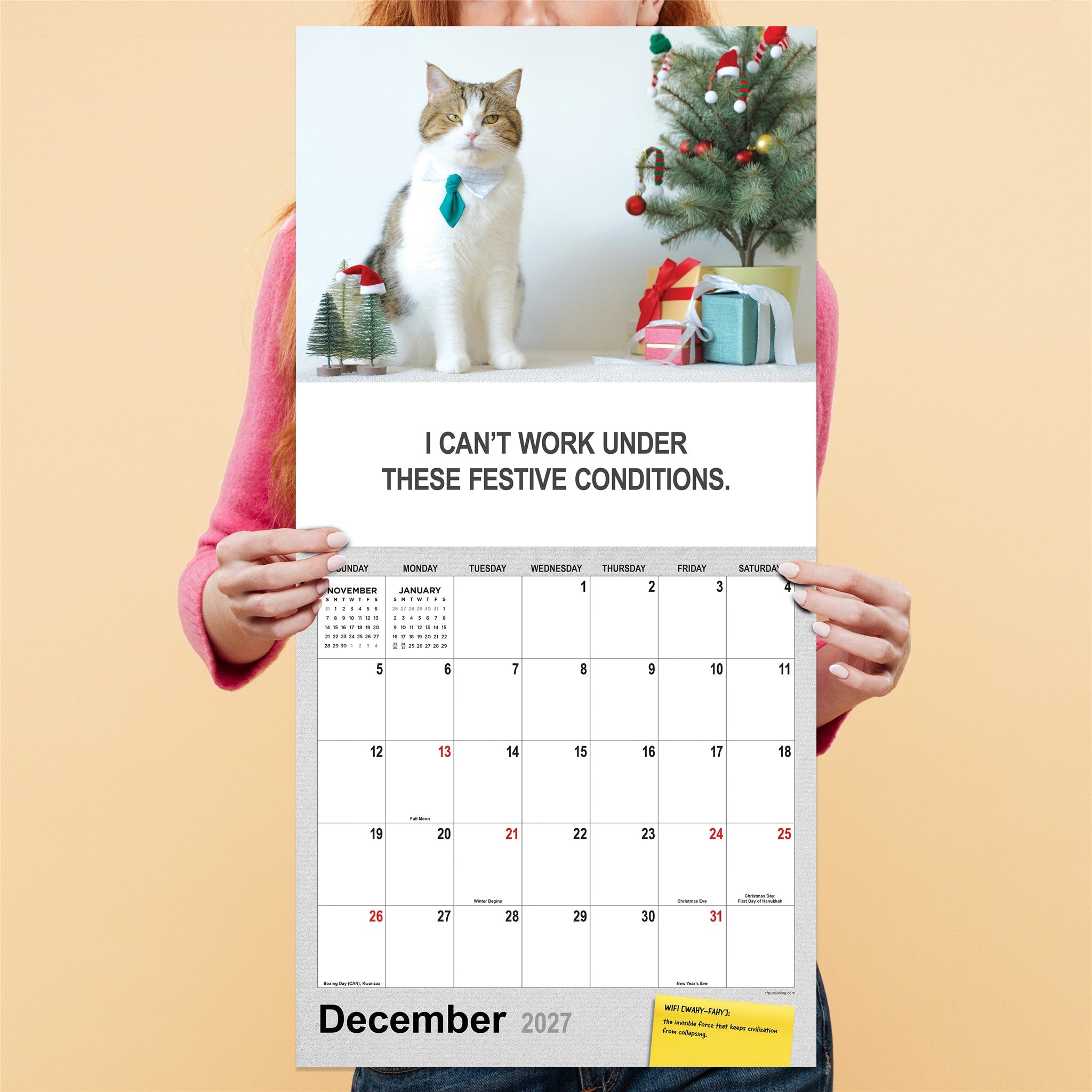 Corporate Cats 2027 Wall Calendar