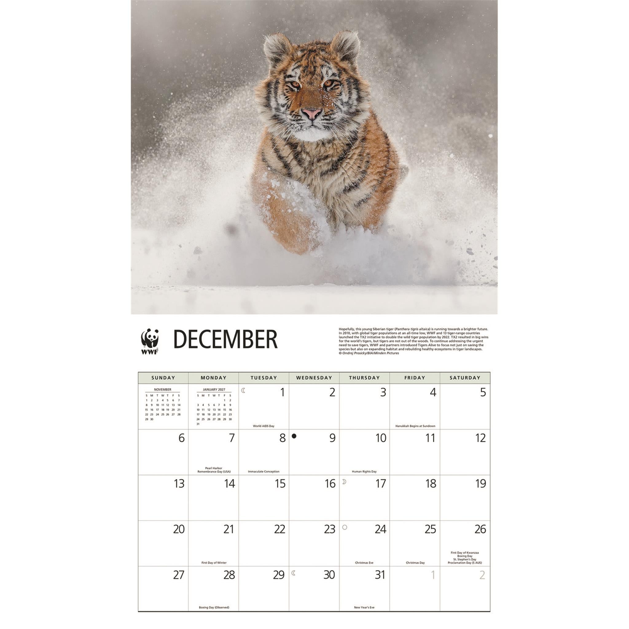 World Wildlife Fund Tigers 2026 Wall Calendar