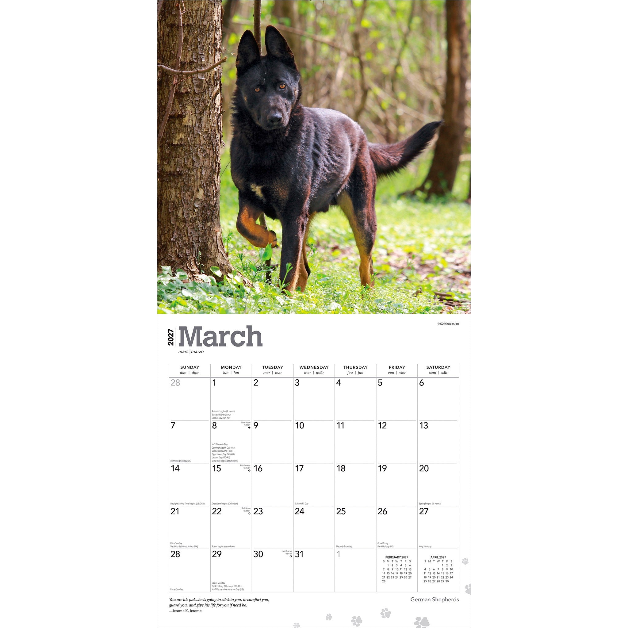 German Shepherds 2027 Wall Calendar - Online Only