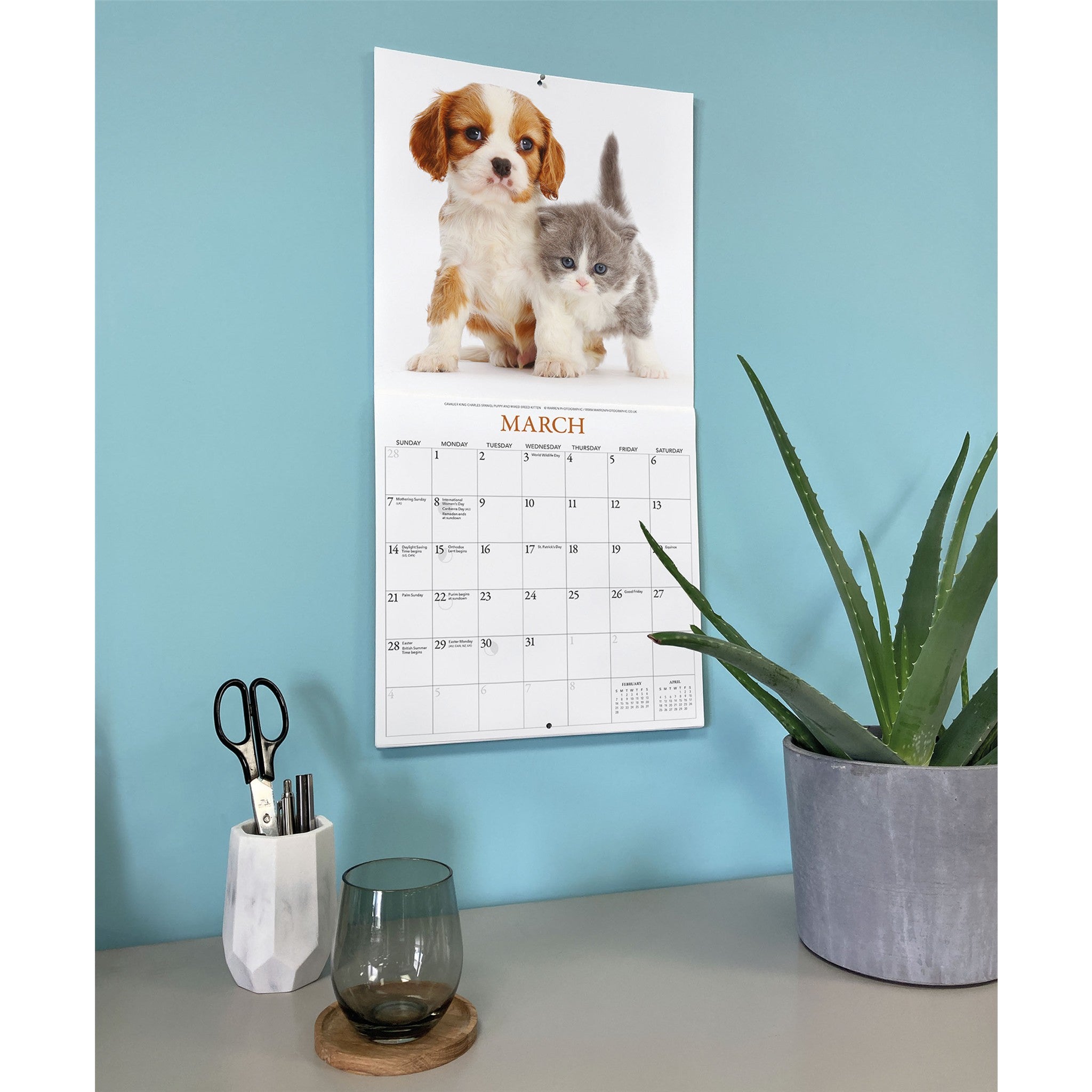 Calendrier mural Chatons et Amis 2027