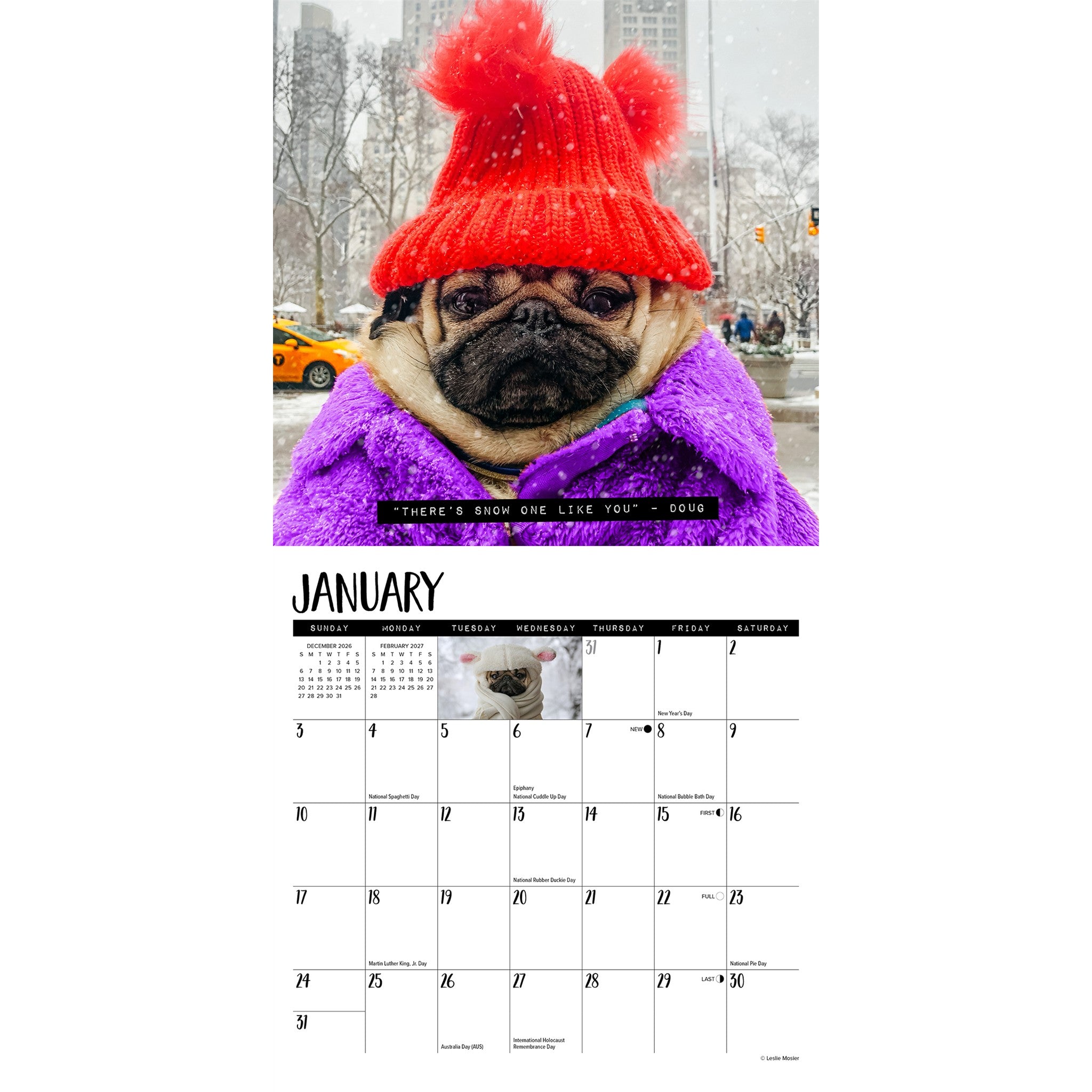 Doug the Pug 2027 Mini Calendar