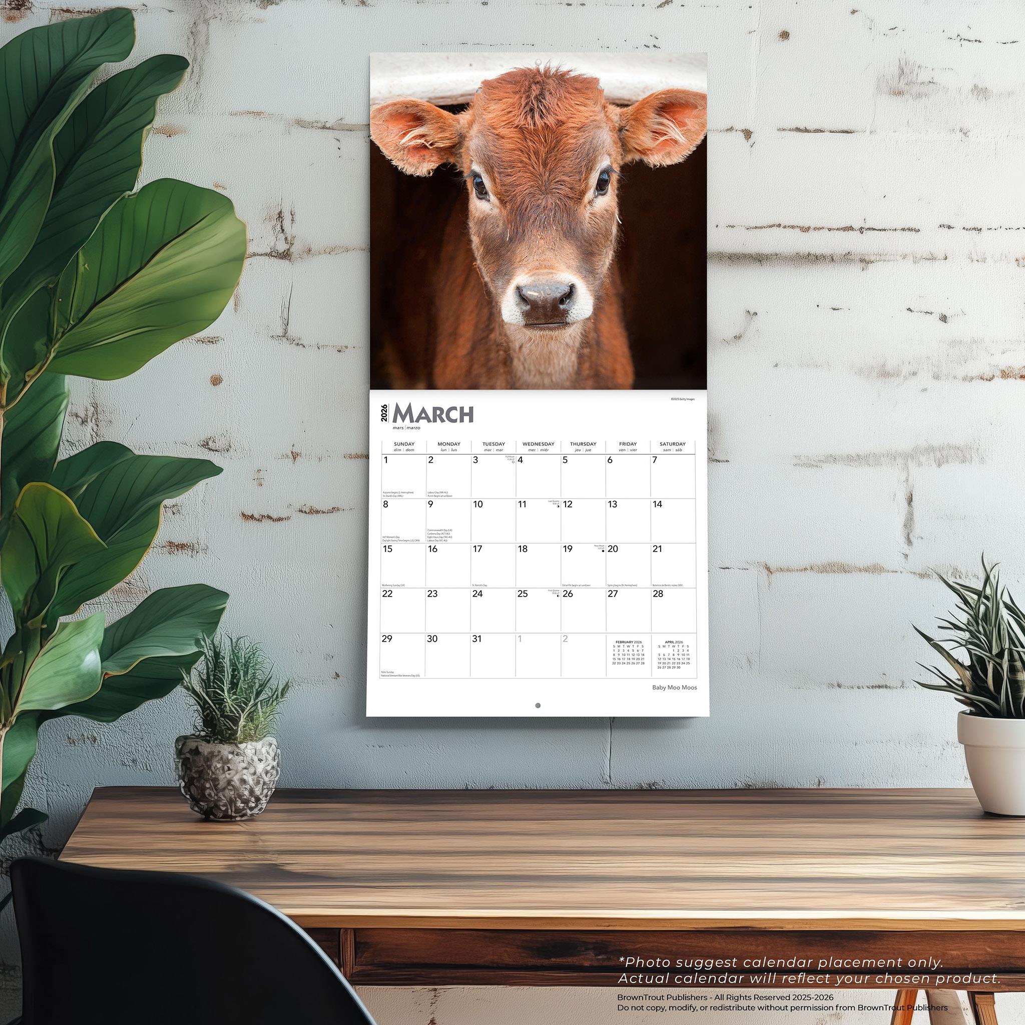 Calendrier mural Baby Moo Moos 2026 - Disponible uniquement en ligne
