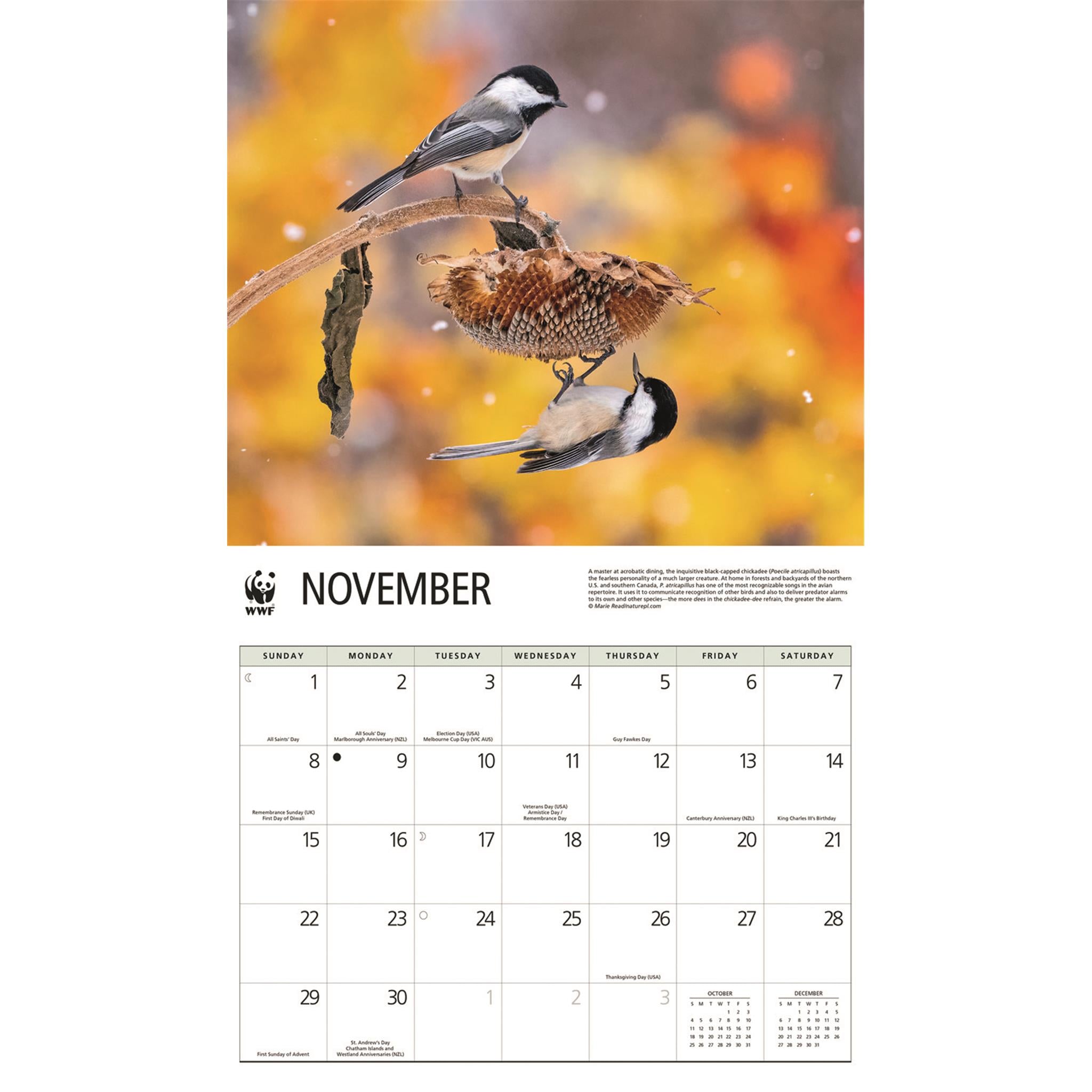 World Wildlife Fund Birds Backyard  2026 Wall Calendar