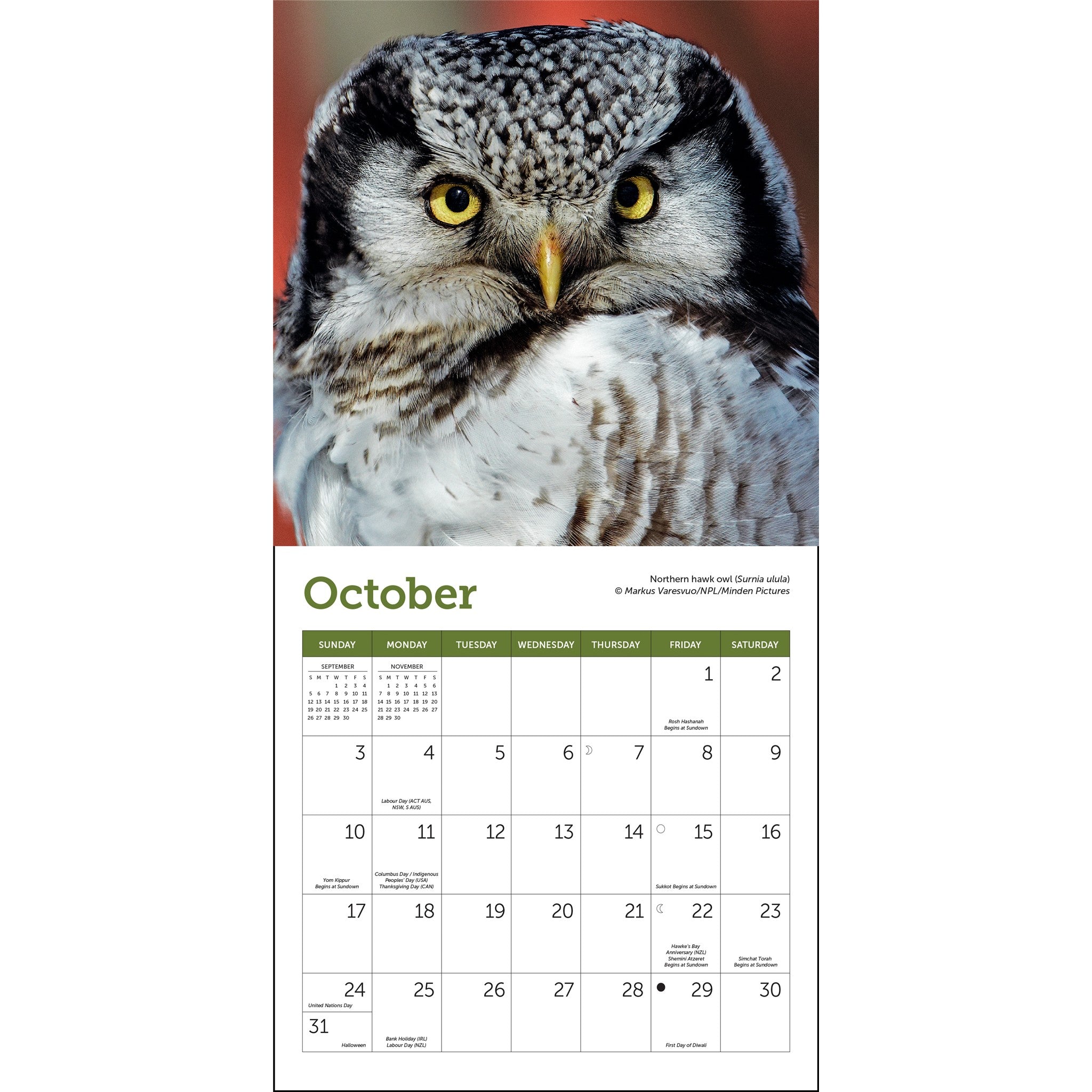 Mini-calendrier Hiboux 2027