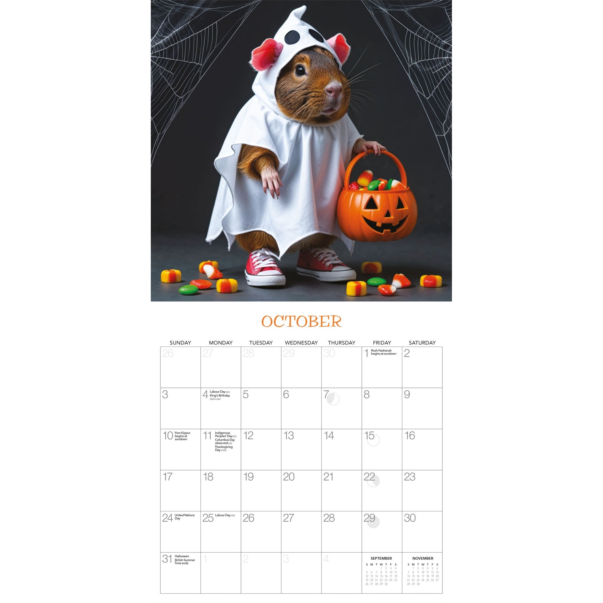 Les Cochons d'Inde, C'est Super ! Calendrier mural 2027