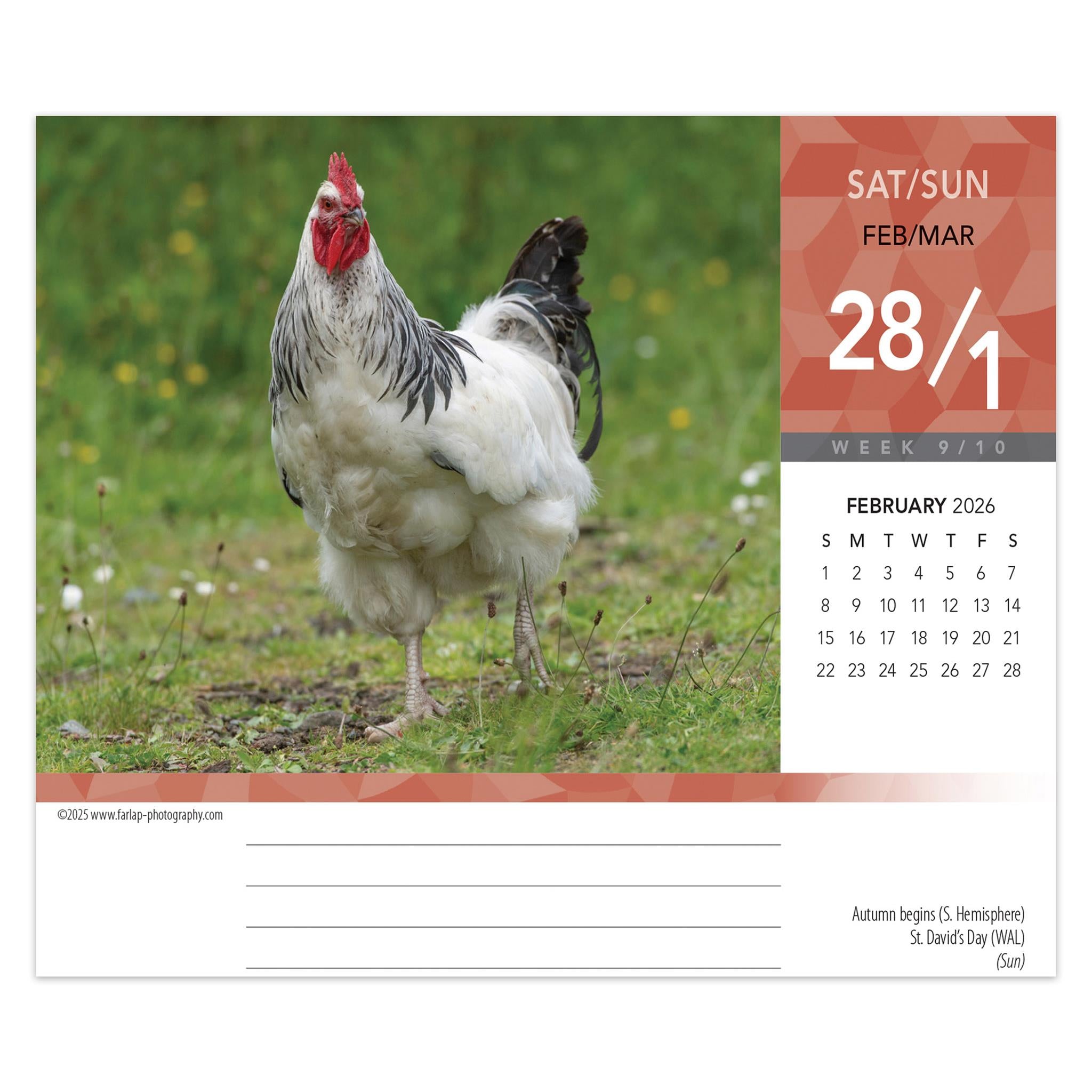 Calendrier de l'Avent 2026 - Disponible uniquement en ligne