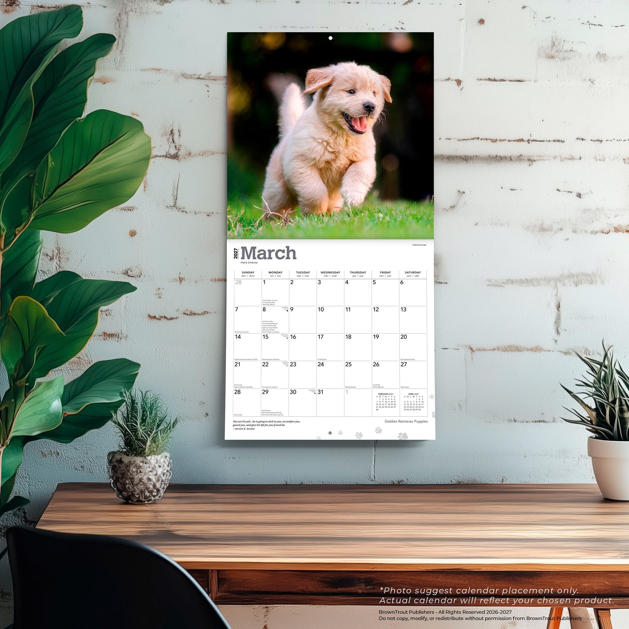 Golden Retriever Puppies 2027 Wall Calendar