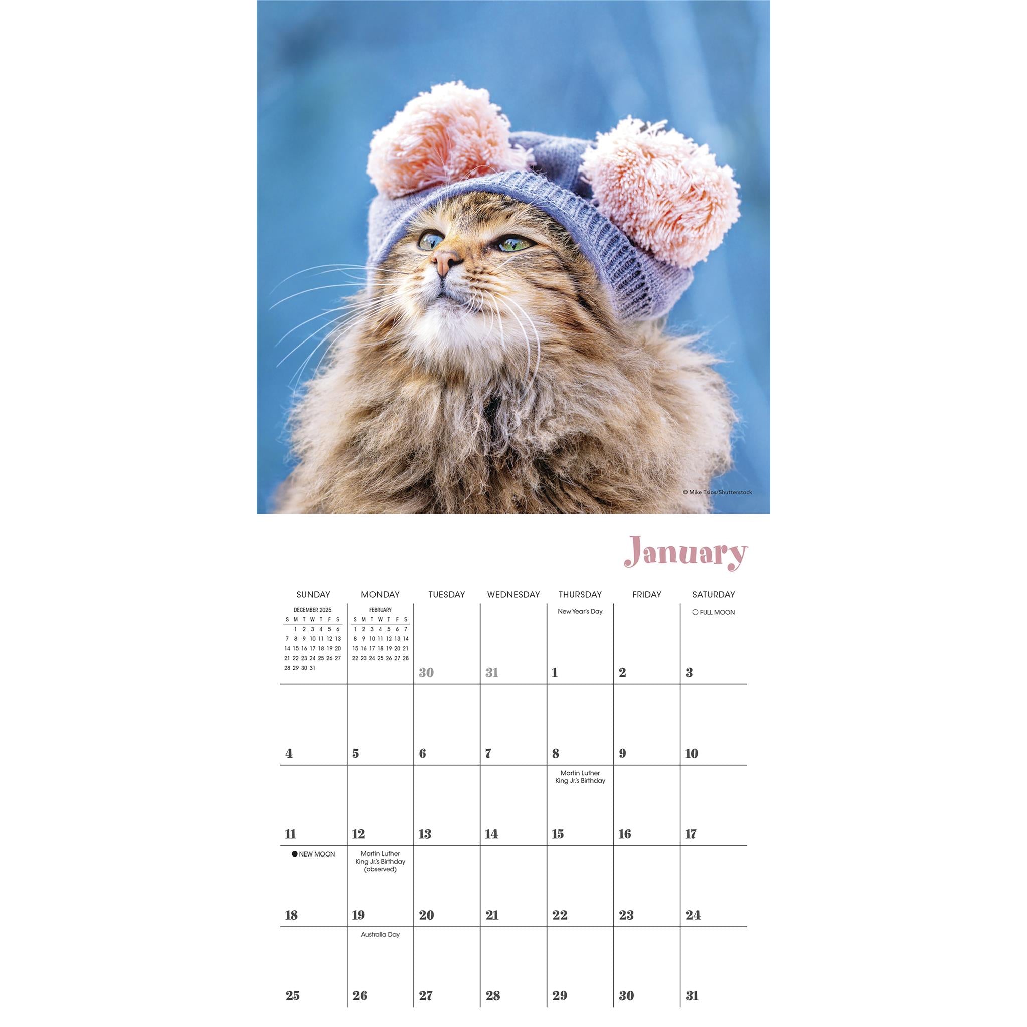 Mini-calendrier Chats Chapeautés 2026