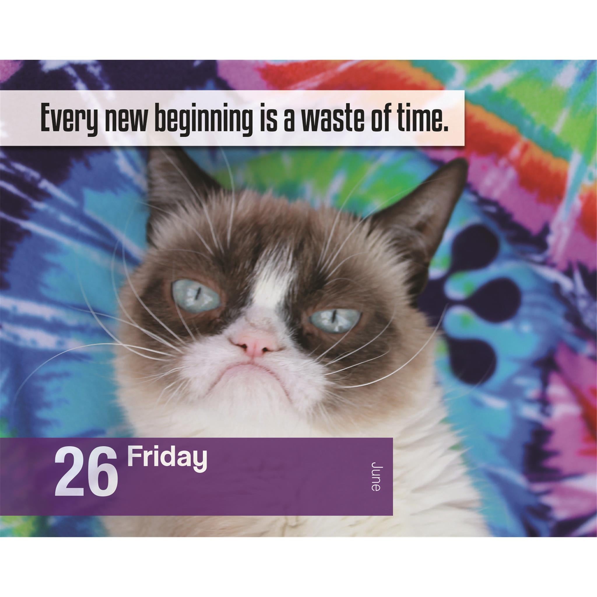 Calendrier Grumpy Cat 2026