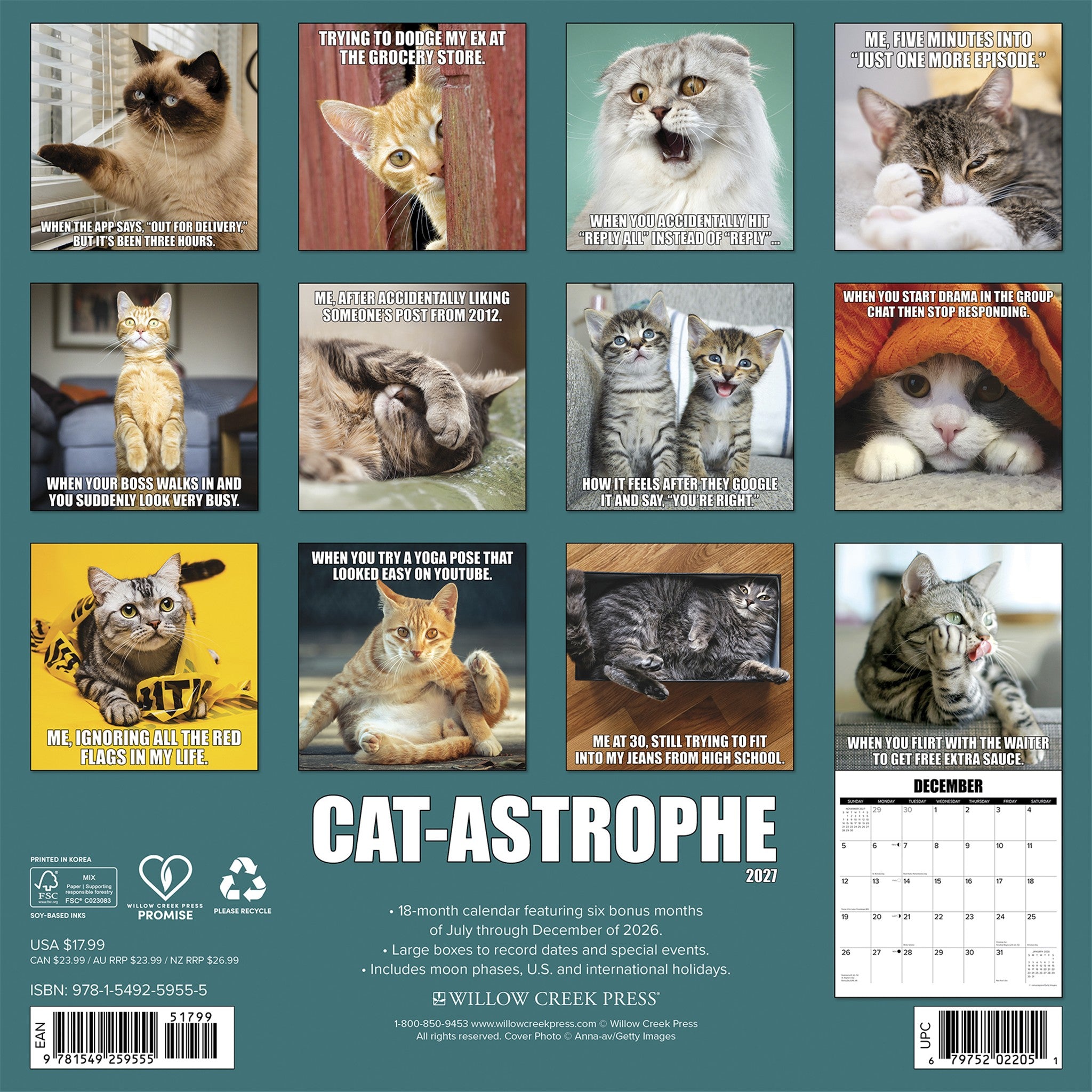 Cat-astrophe 2027 Wall Calendar