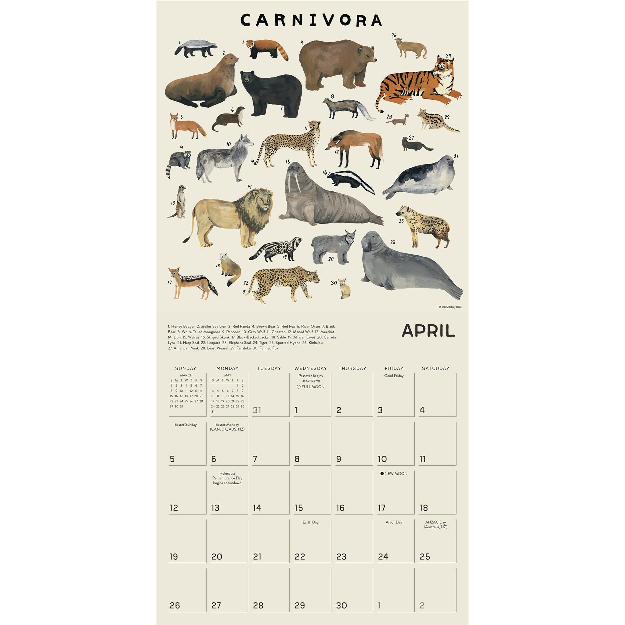 Illustrated Animal Kingdom 2026 Wall Calendar - Online Only