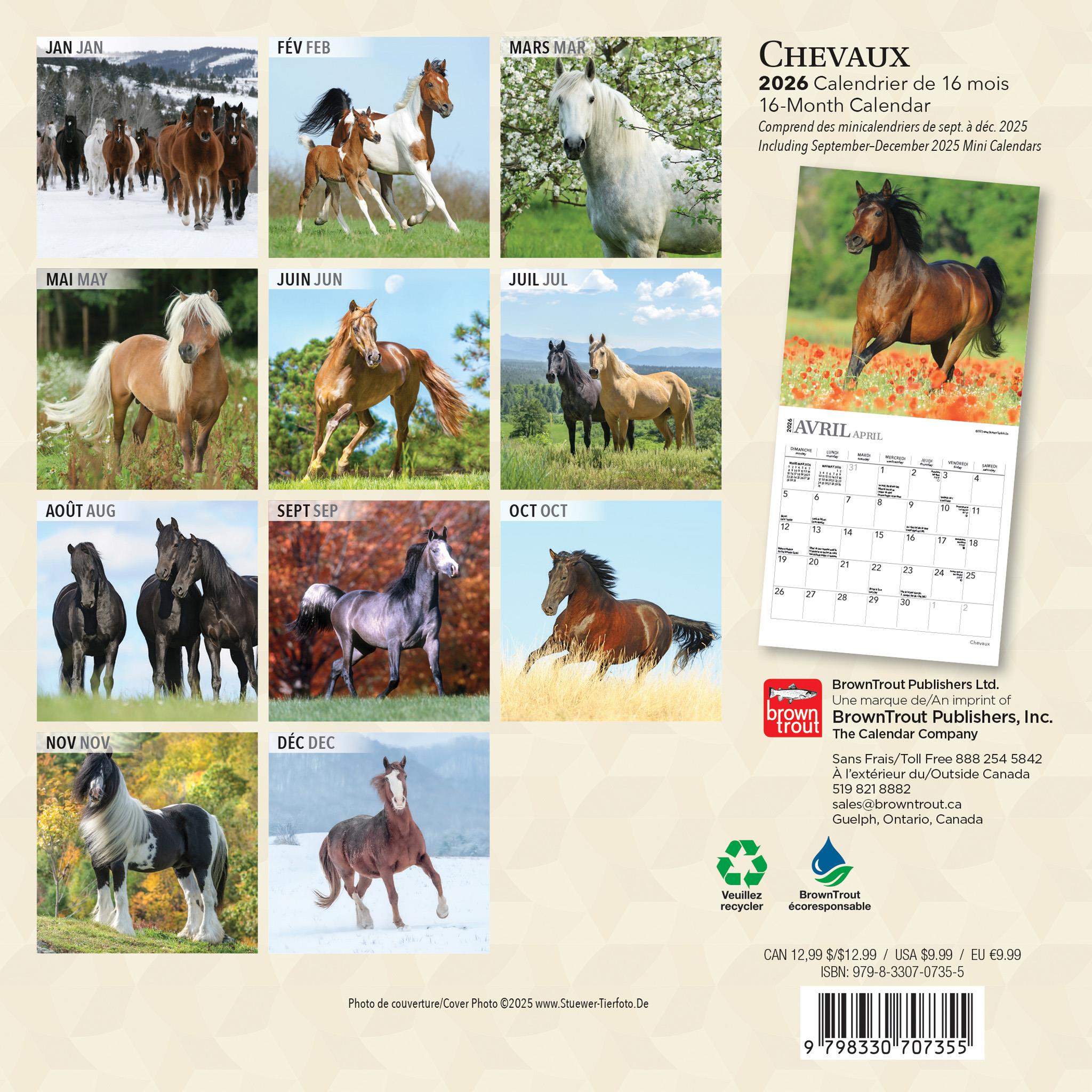 Mini calendrier Chevaux 2026 (français)