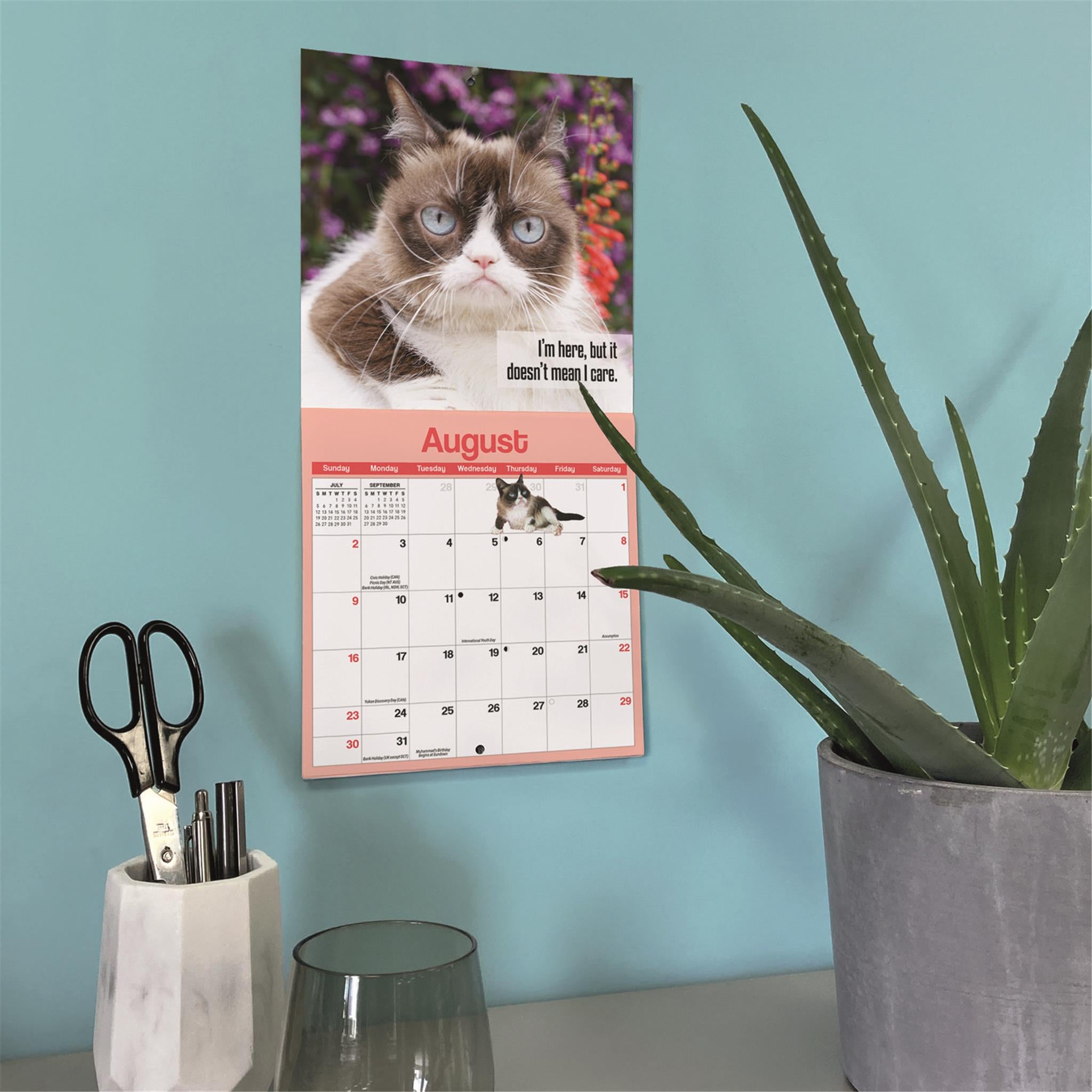 Mini calendrier Grumpy Cat 2026