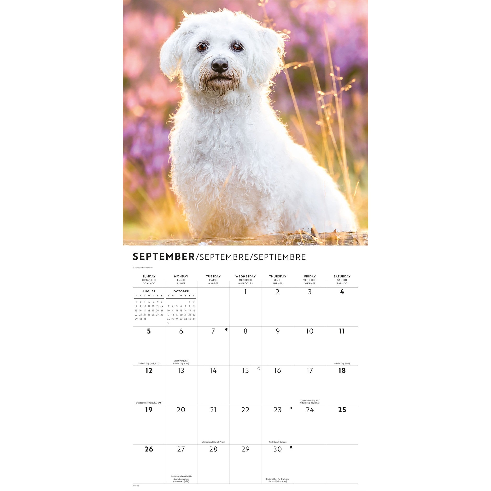 Calendrier mural Maltais 2027