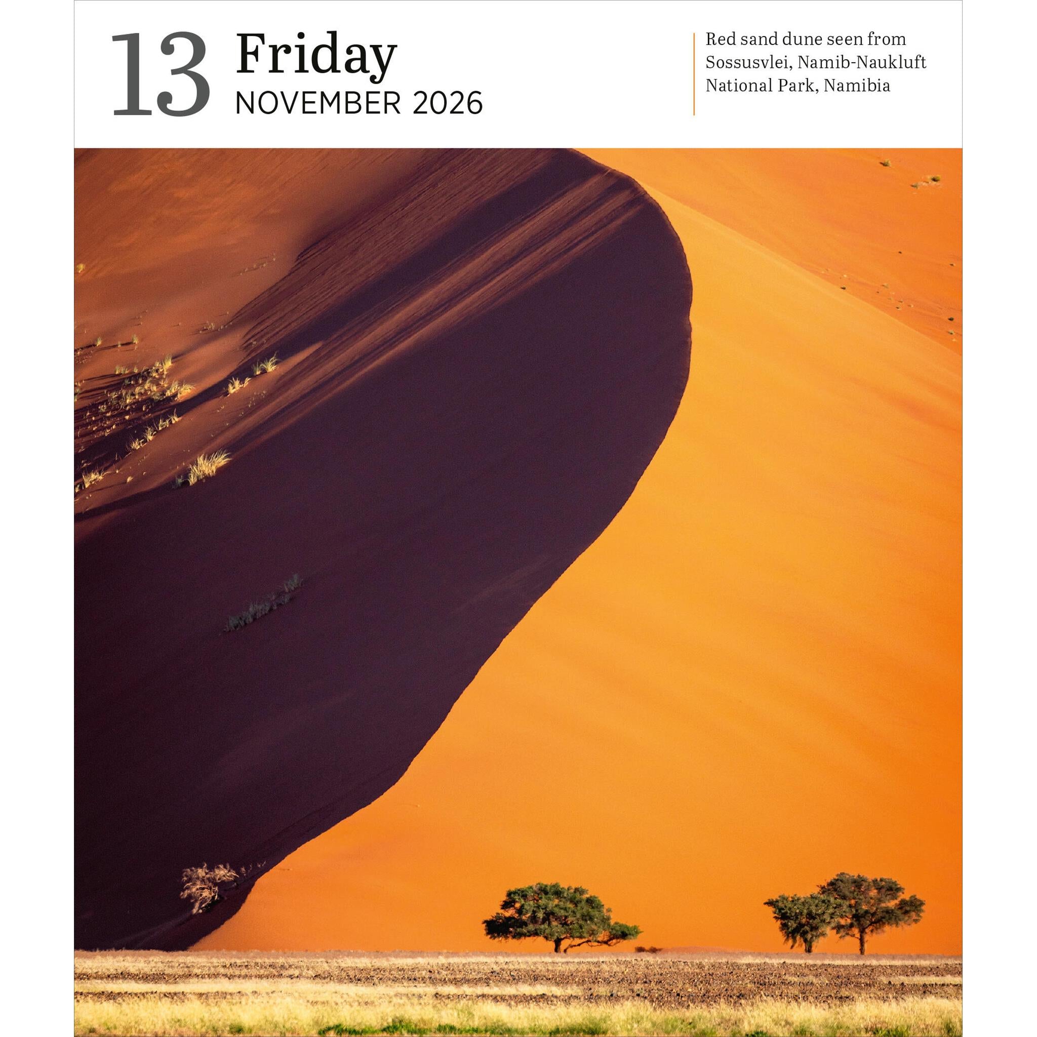 Calendrier en boîte 2026 de la galerie de la nature Audubon