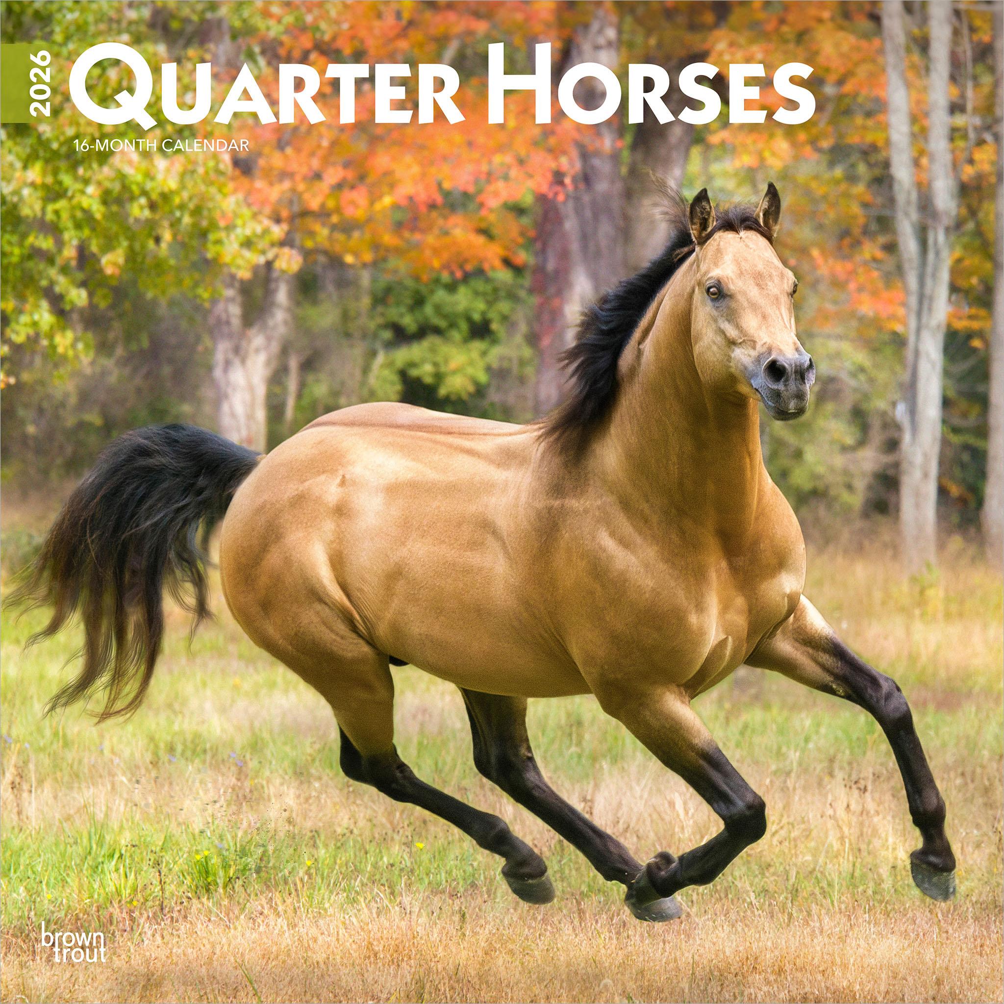 Calendrier mural Quarter Horses 2026 - Disponible uniquement en ligne
