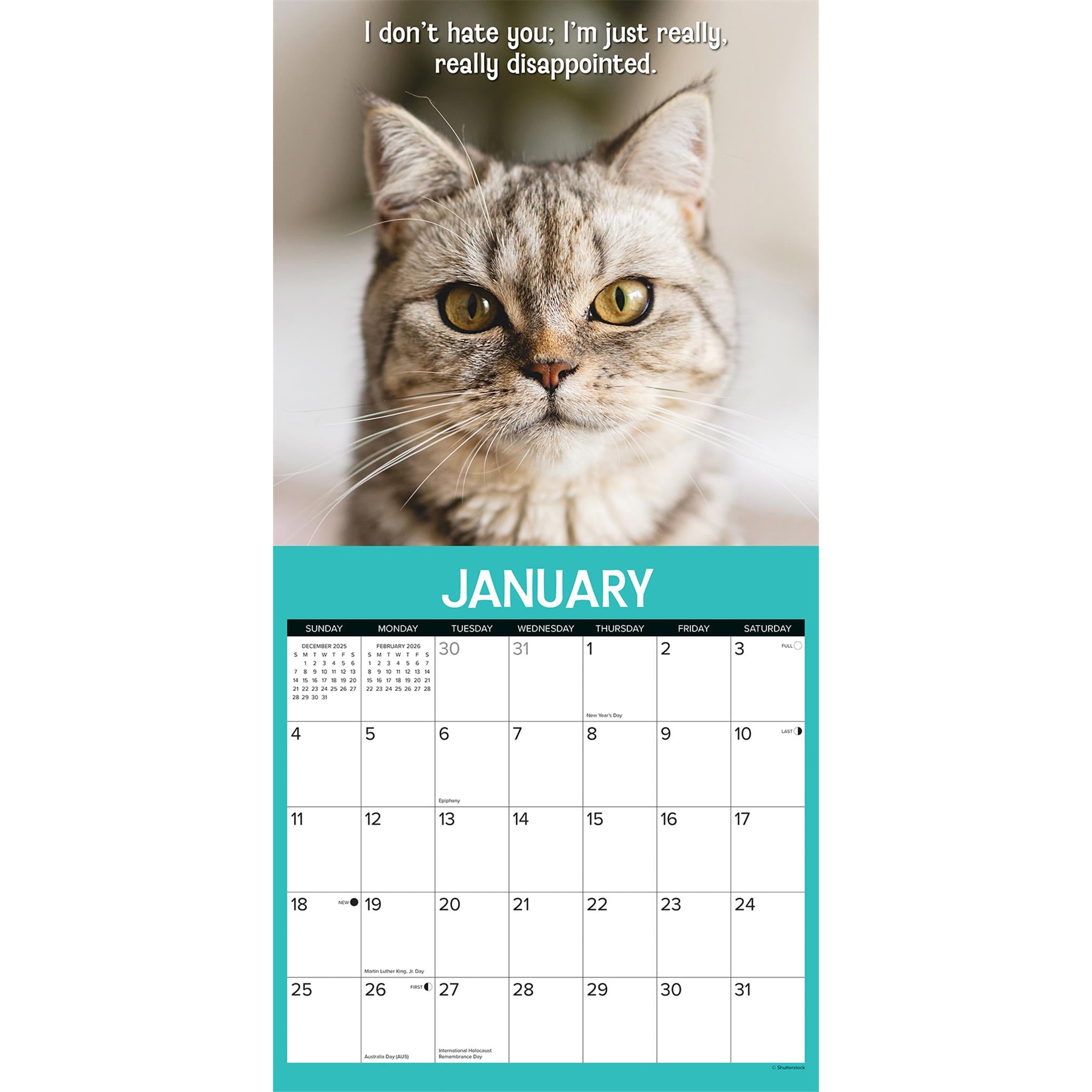 Cattitudes 2026 Wall Calendar