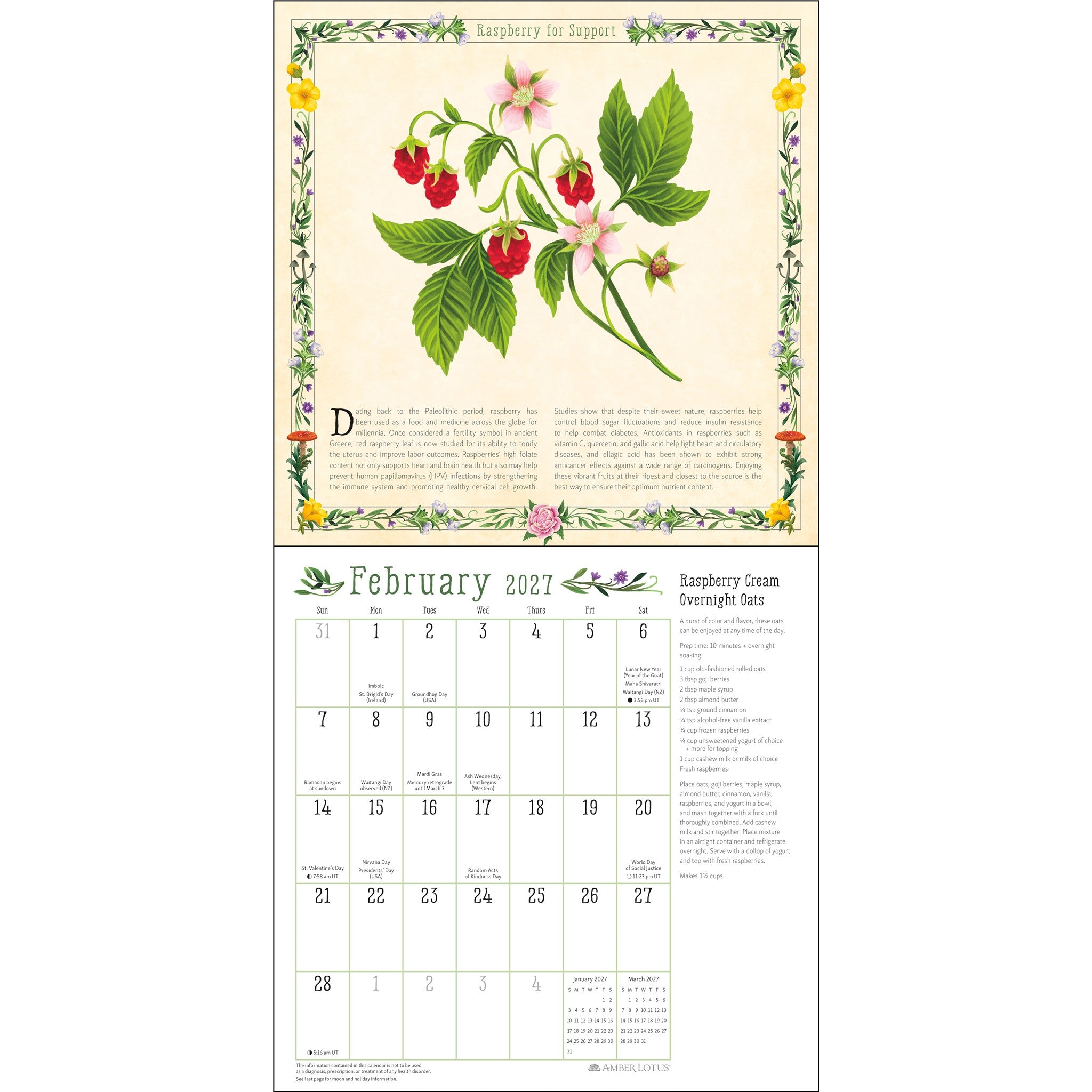 Kitchen Witch 2027 Wall Calendar - Online Only
