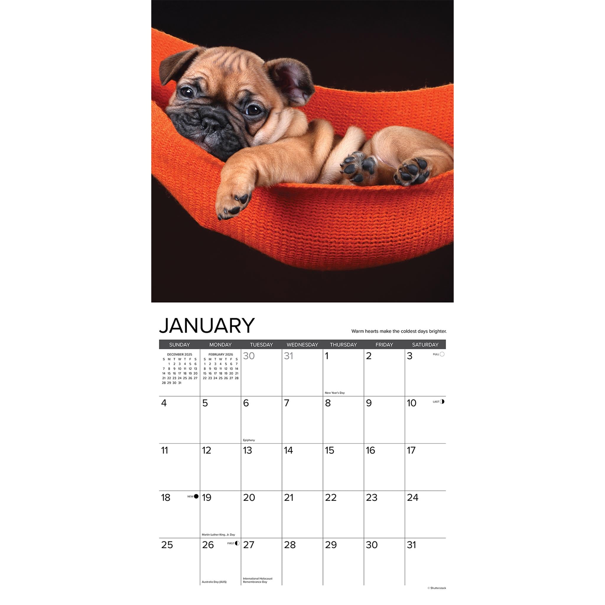 Calendrier mural 2026 « Ce que les chiots nous apprennent »