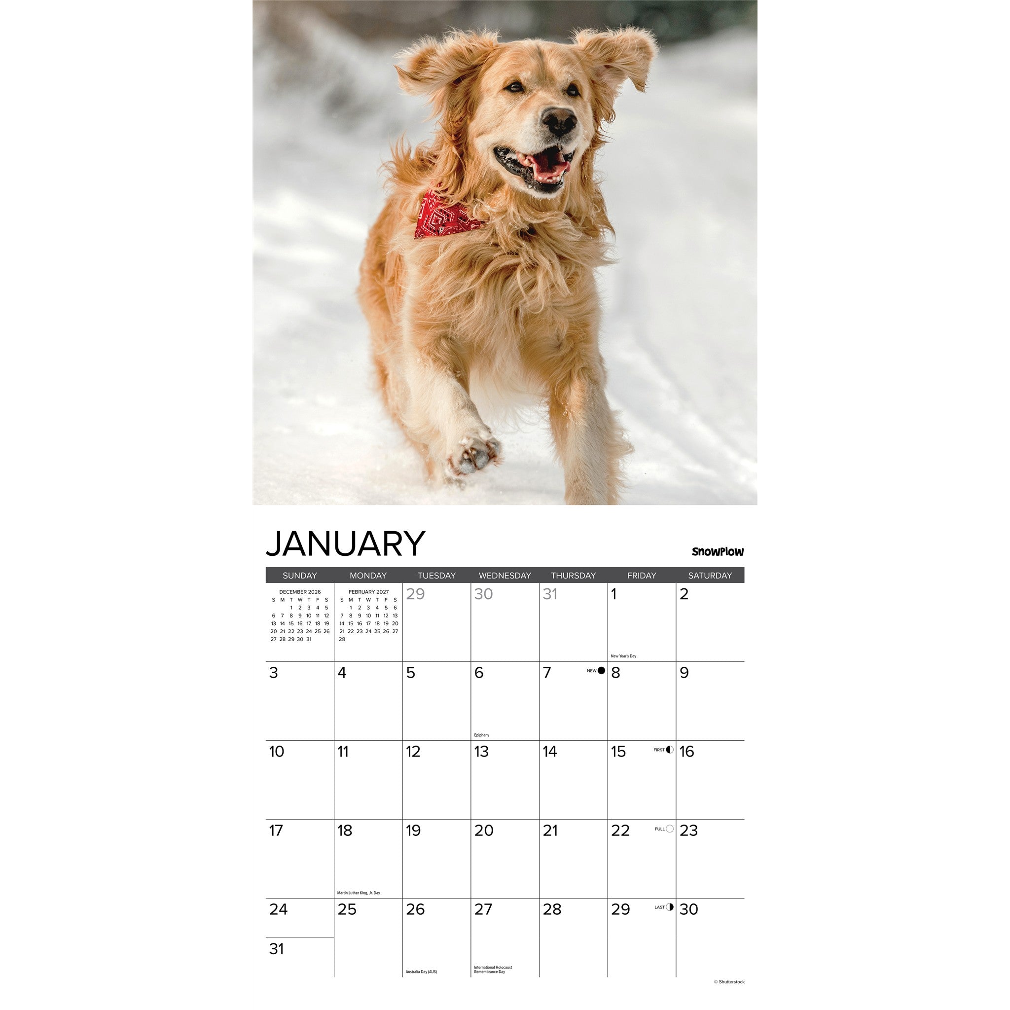 12 Uses for a Golden 2027 Wall Calendar - Online Only