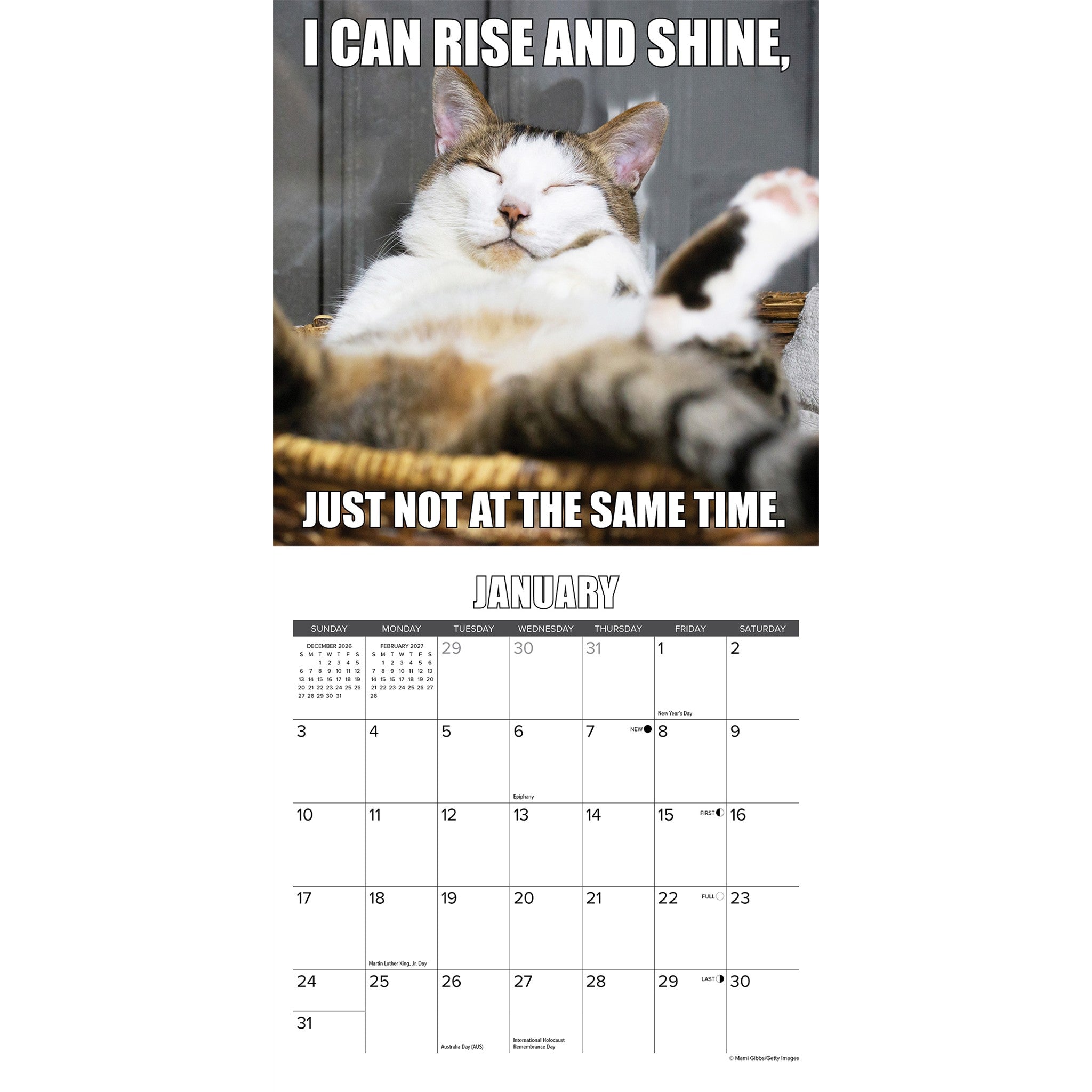 Cat-astrophe 2027 Mini Calendar