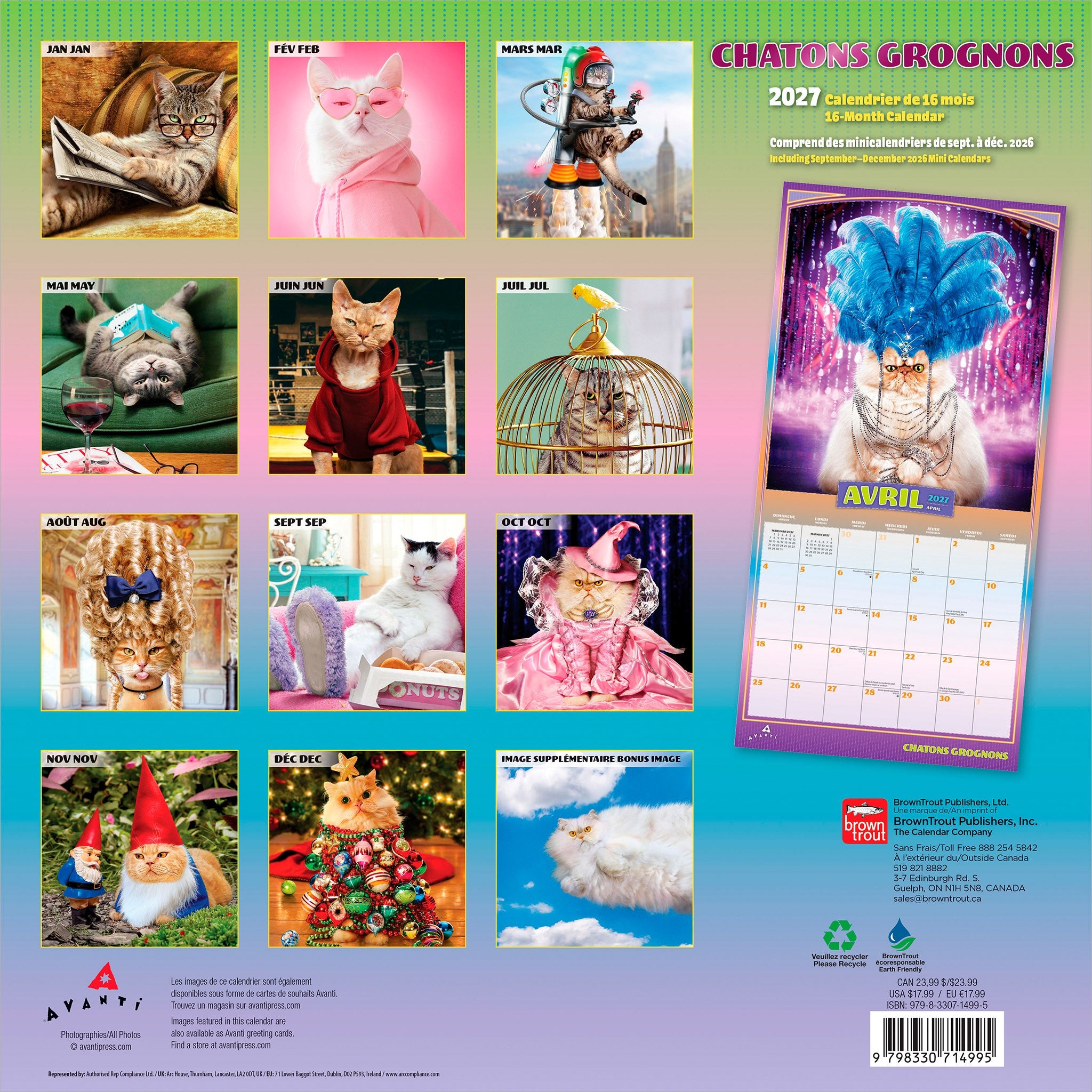 Chatons Grognons 2027 Wall Calendar (French)
