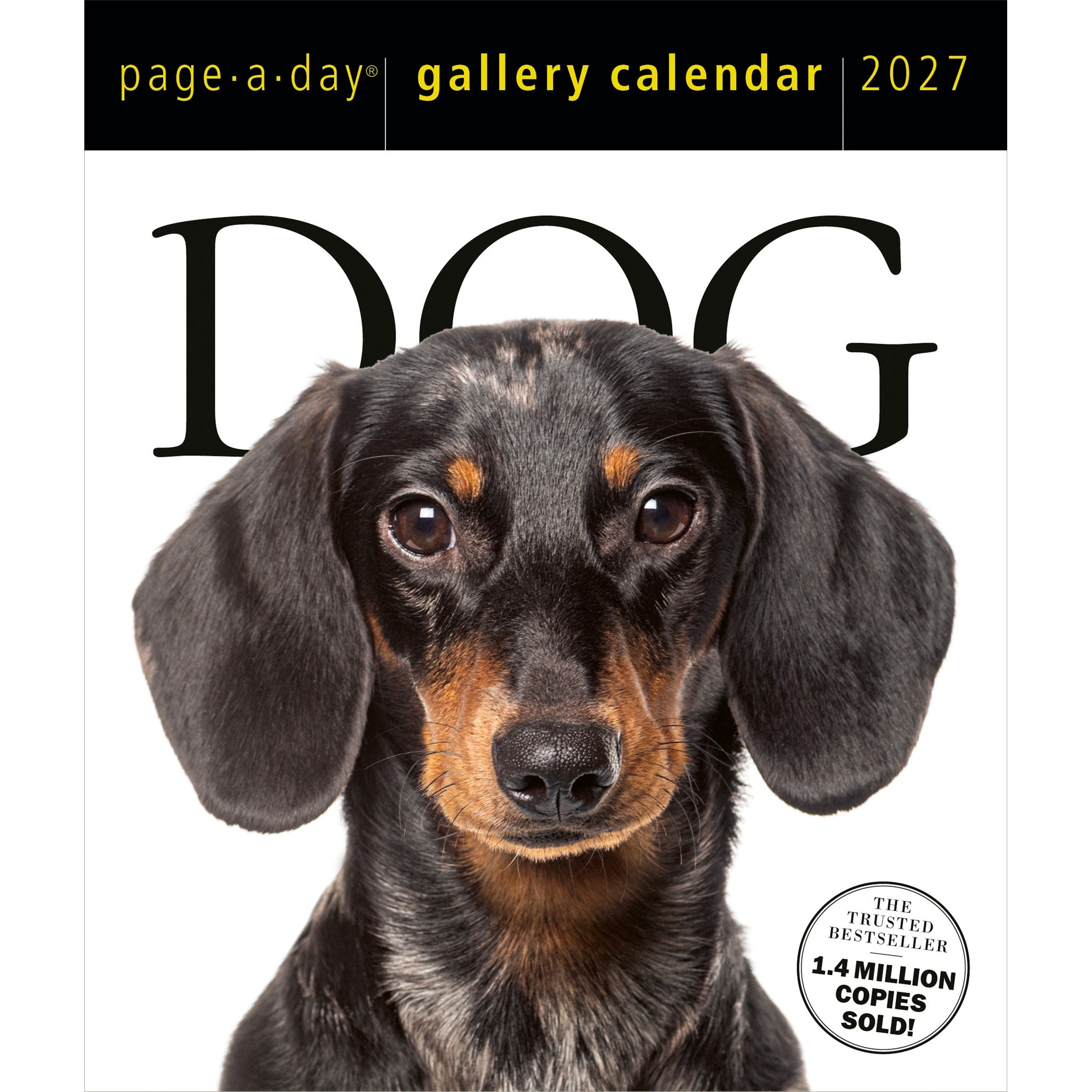 Dog Gallery 2027 Box Calendar