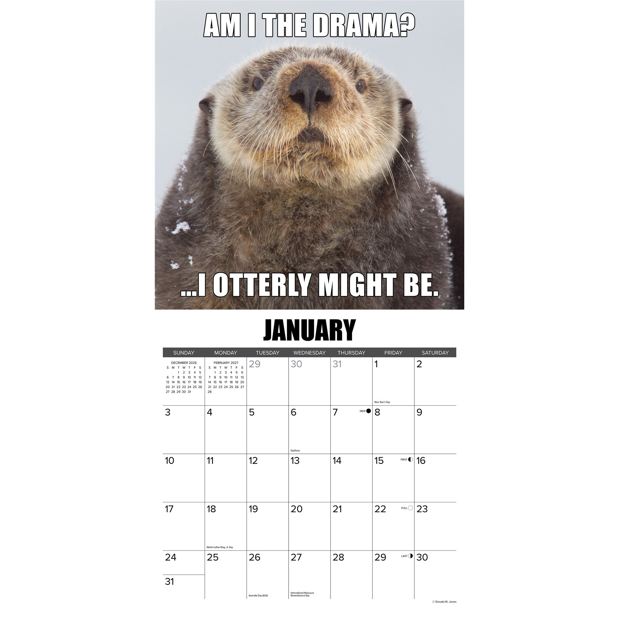 In Otter News 2027 Wall Calendar