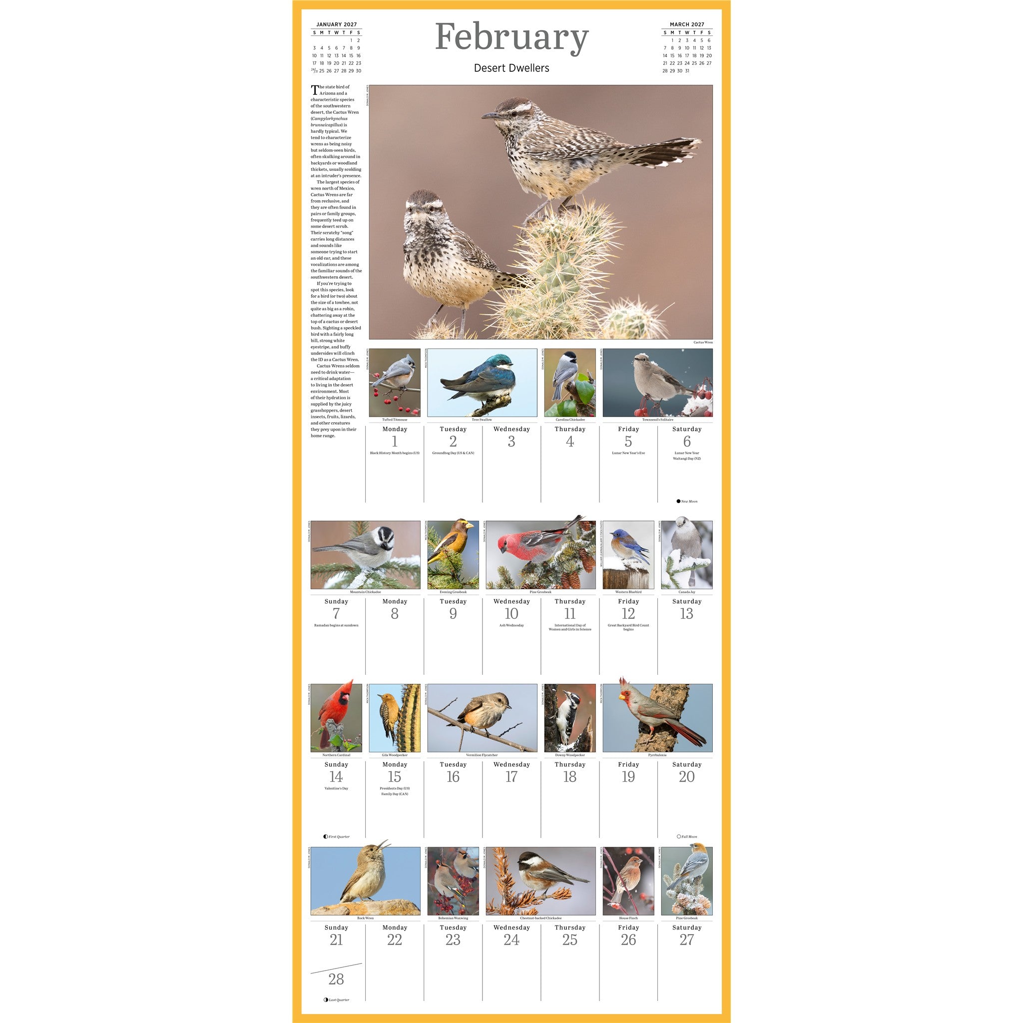 Audubon Songbirds 365 2027 Wall Calendar