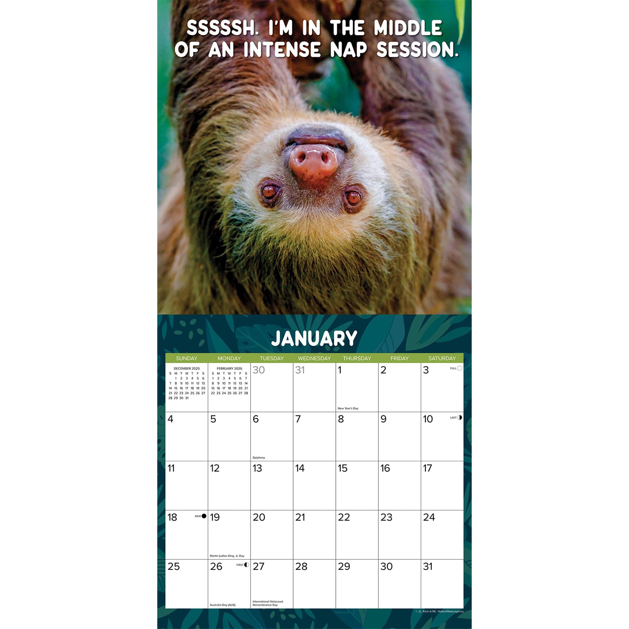 Sloth Mode 2026 Wall Calendar - Online Only