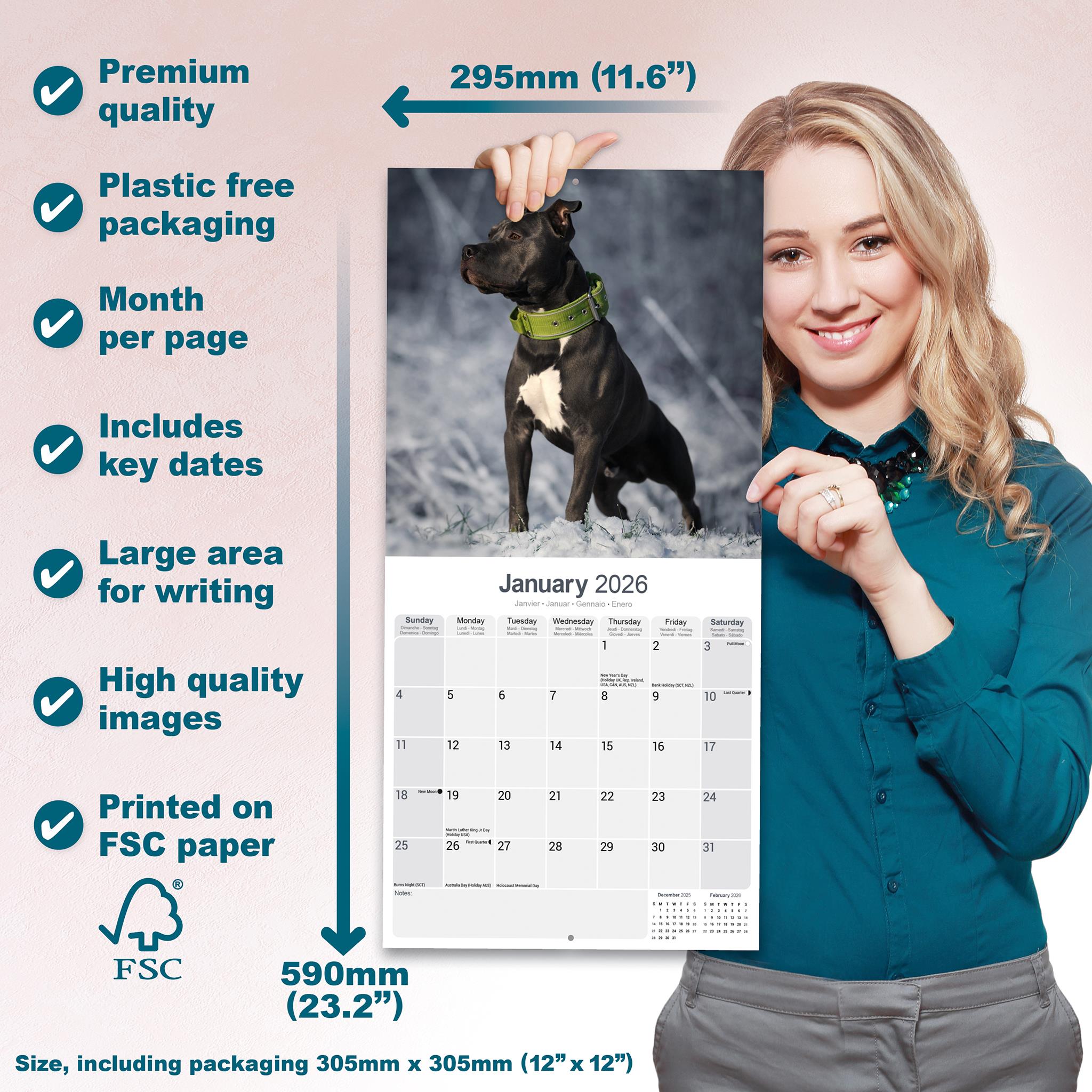 American Staffordshire Terrier 2026 Wall Calendar - Online Only