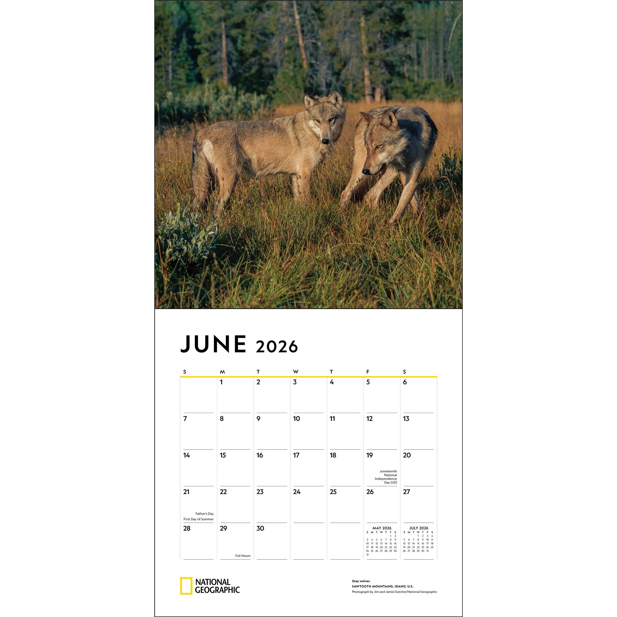 National Geographic Wolves 2026 Wall Calendar