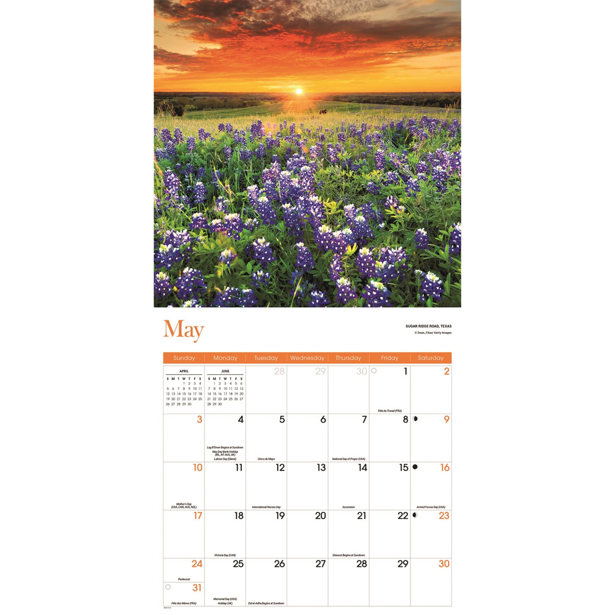 Calendrier mural des saisons 2026